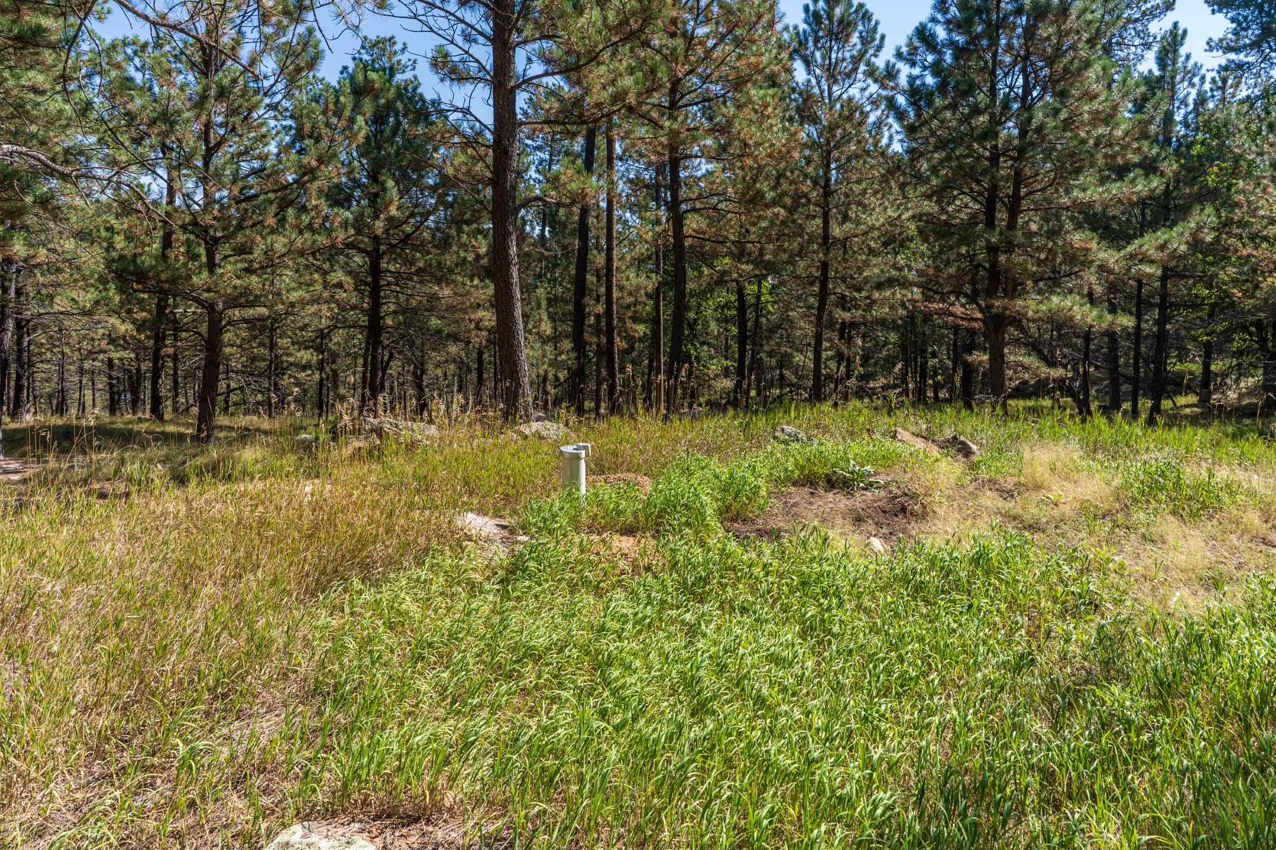 24409 Milo Lane Property Photo 4