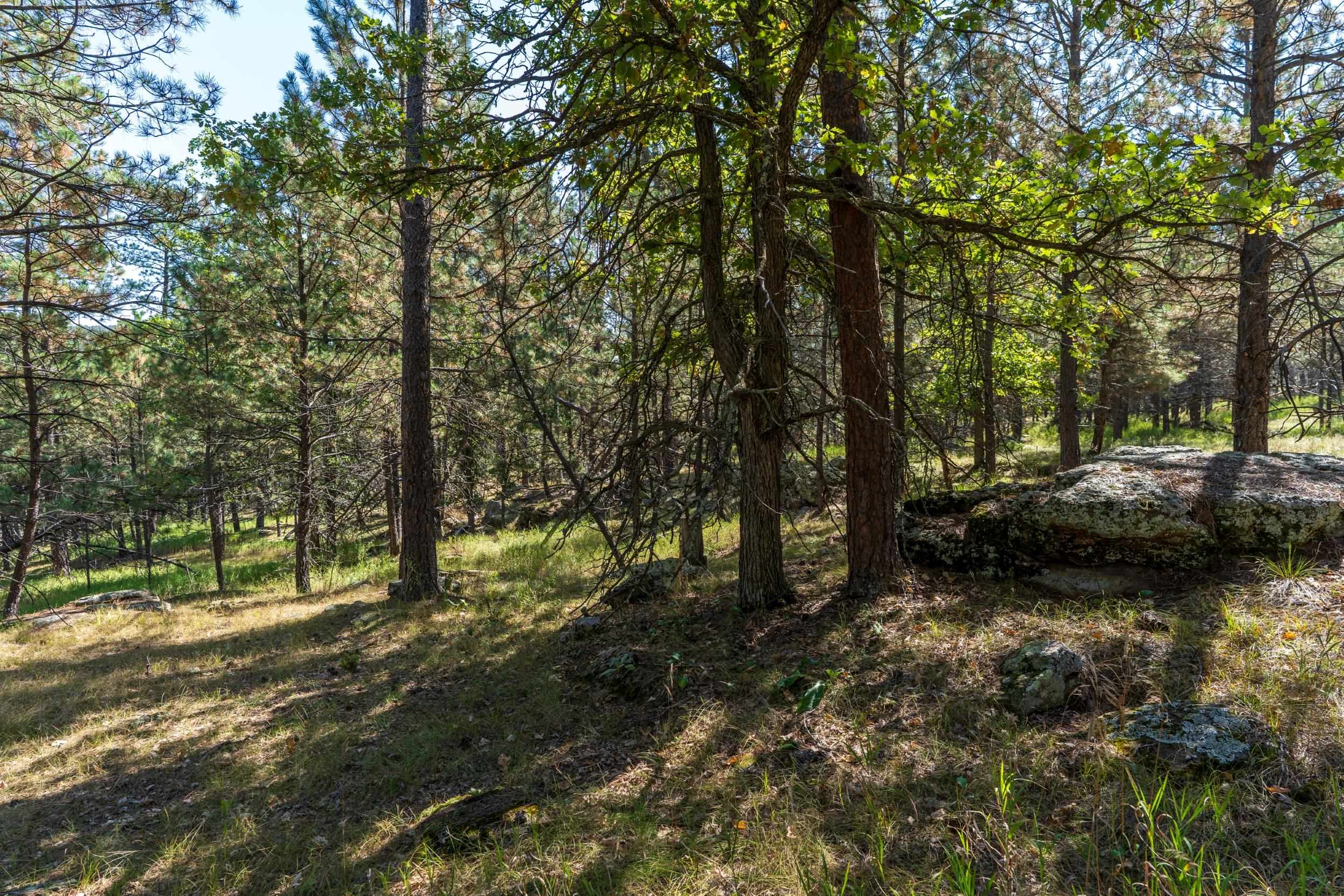 24409 Milo Lane Property Photo 5