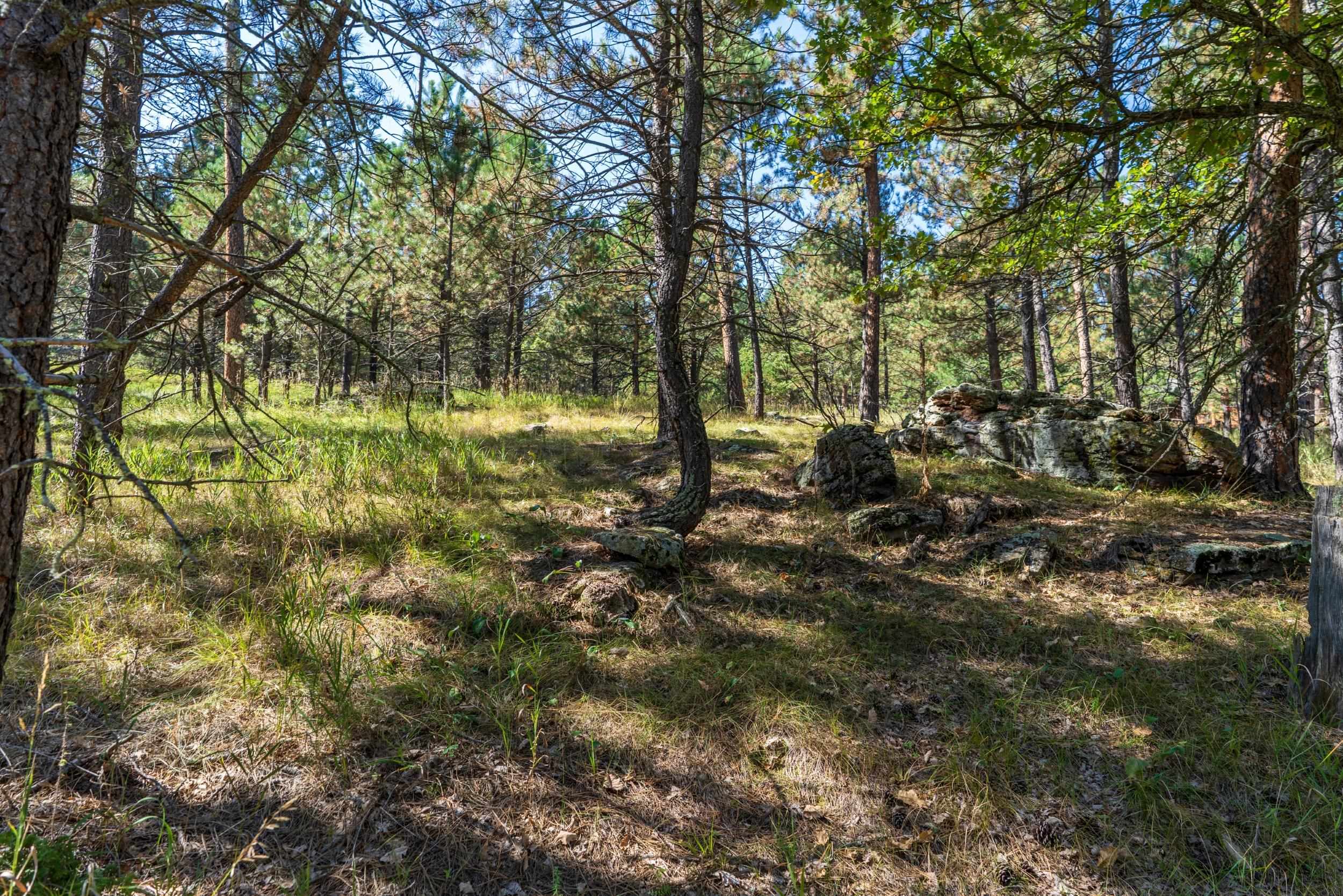 24409 Milo Lane Property Photo 6