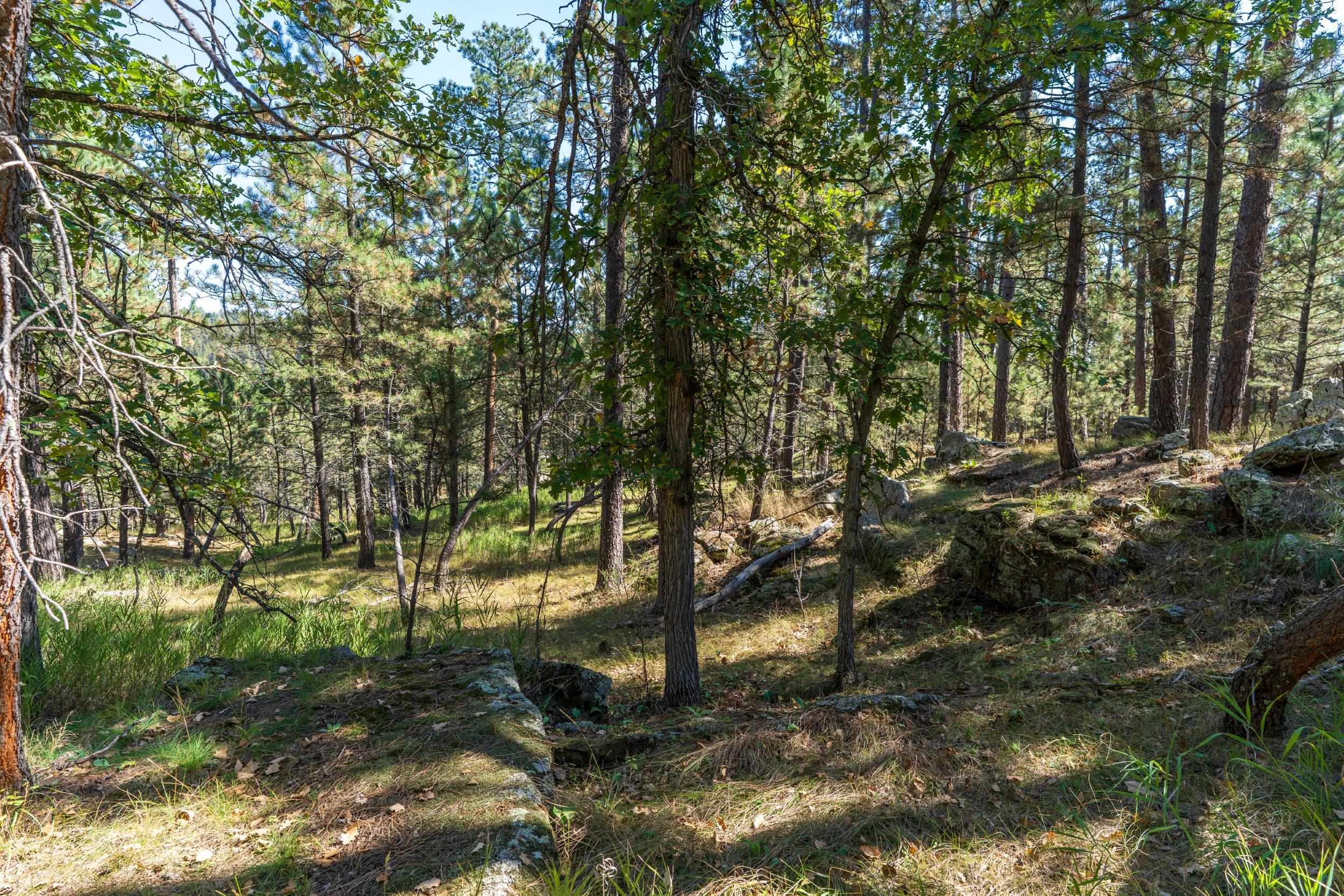 24409 Milo Lane Property Photo 7