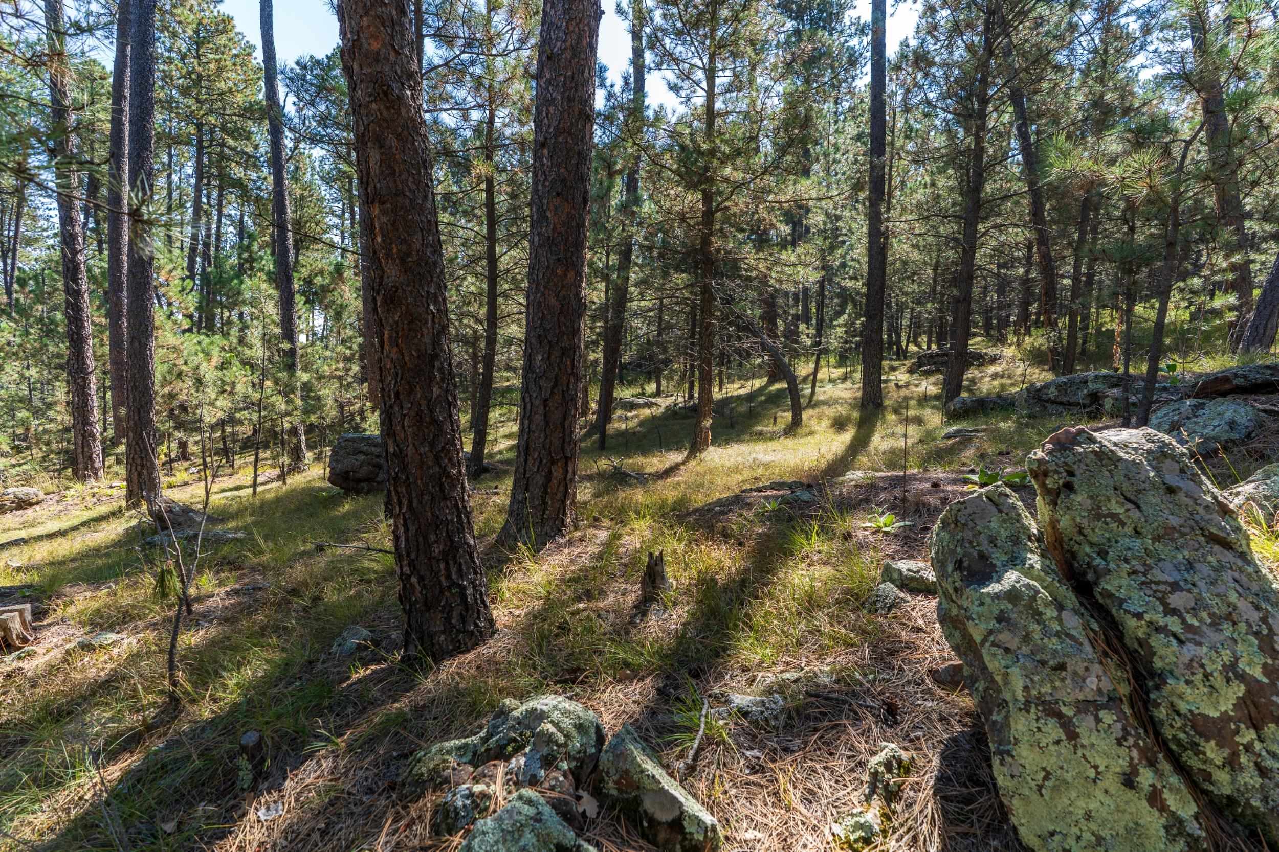 24409 Milo Lane Property Photo 8