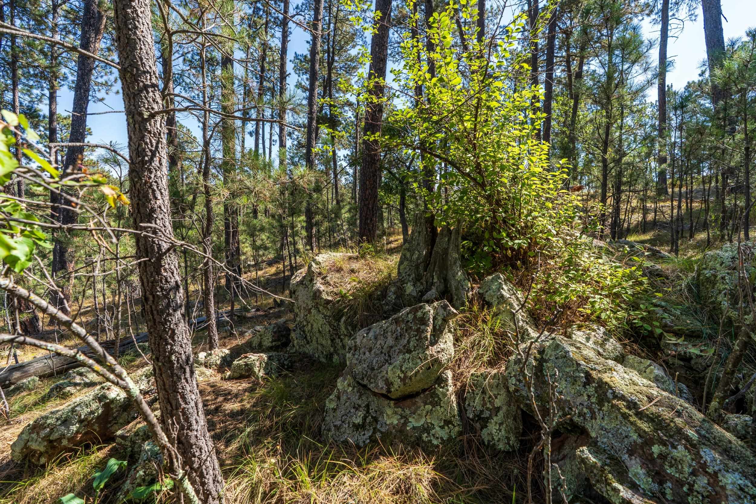 24409 Milo Lane Property Photo 9