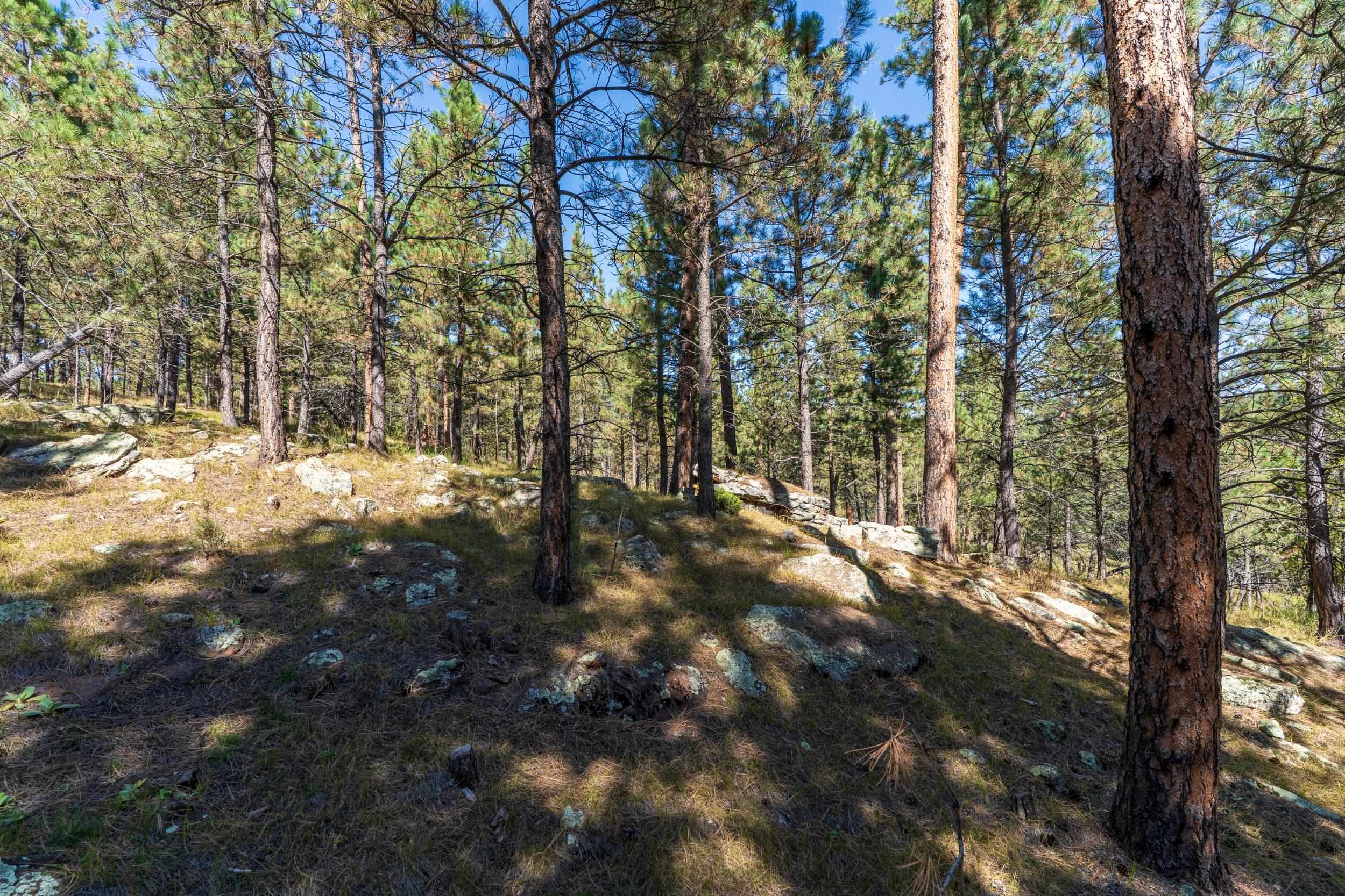 24409 Milo Lane Property Photo 10