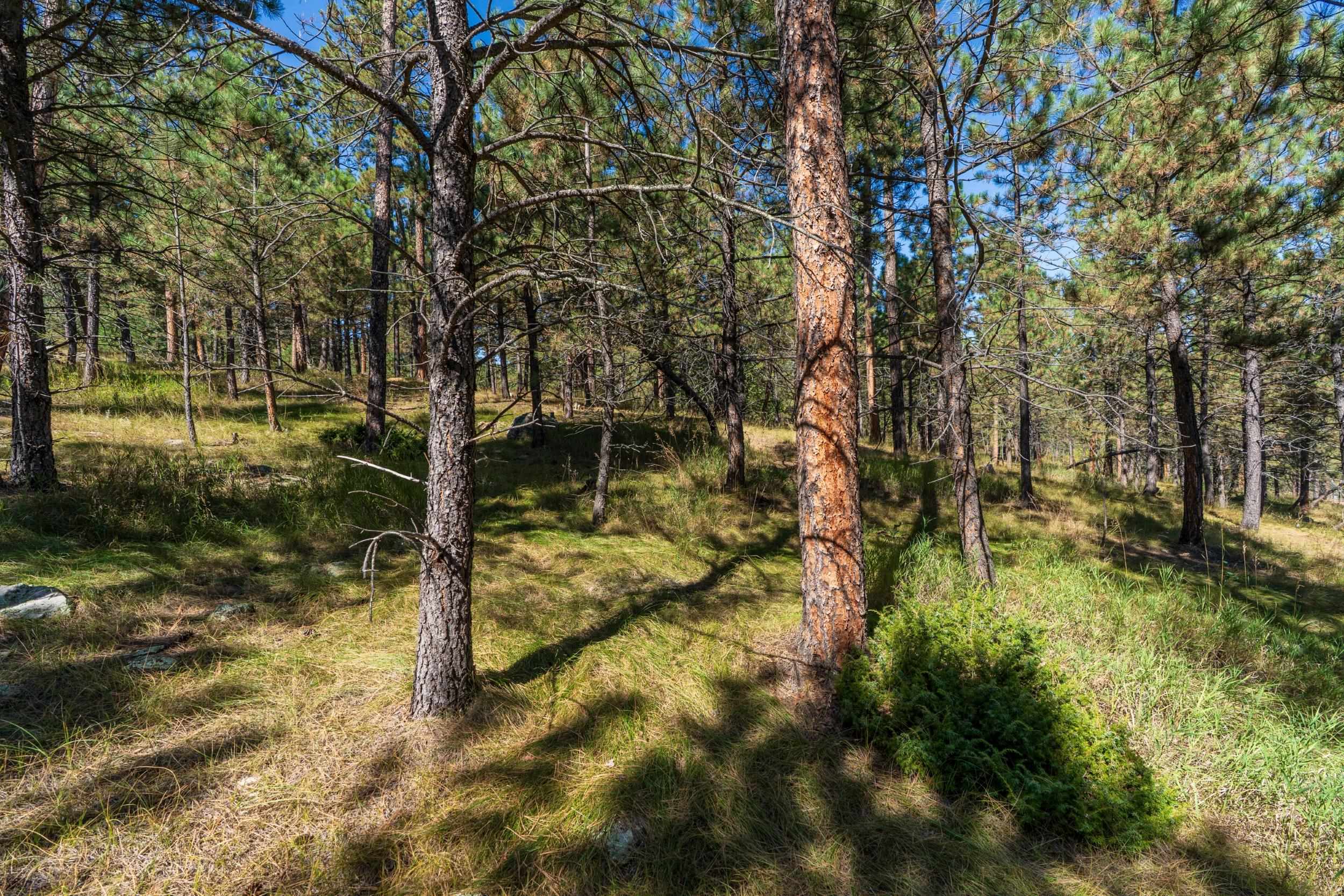 24409 Milo Lane Property Photo 11