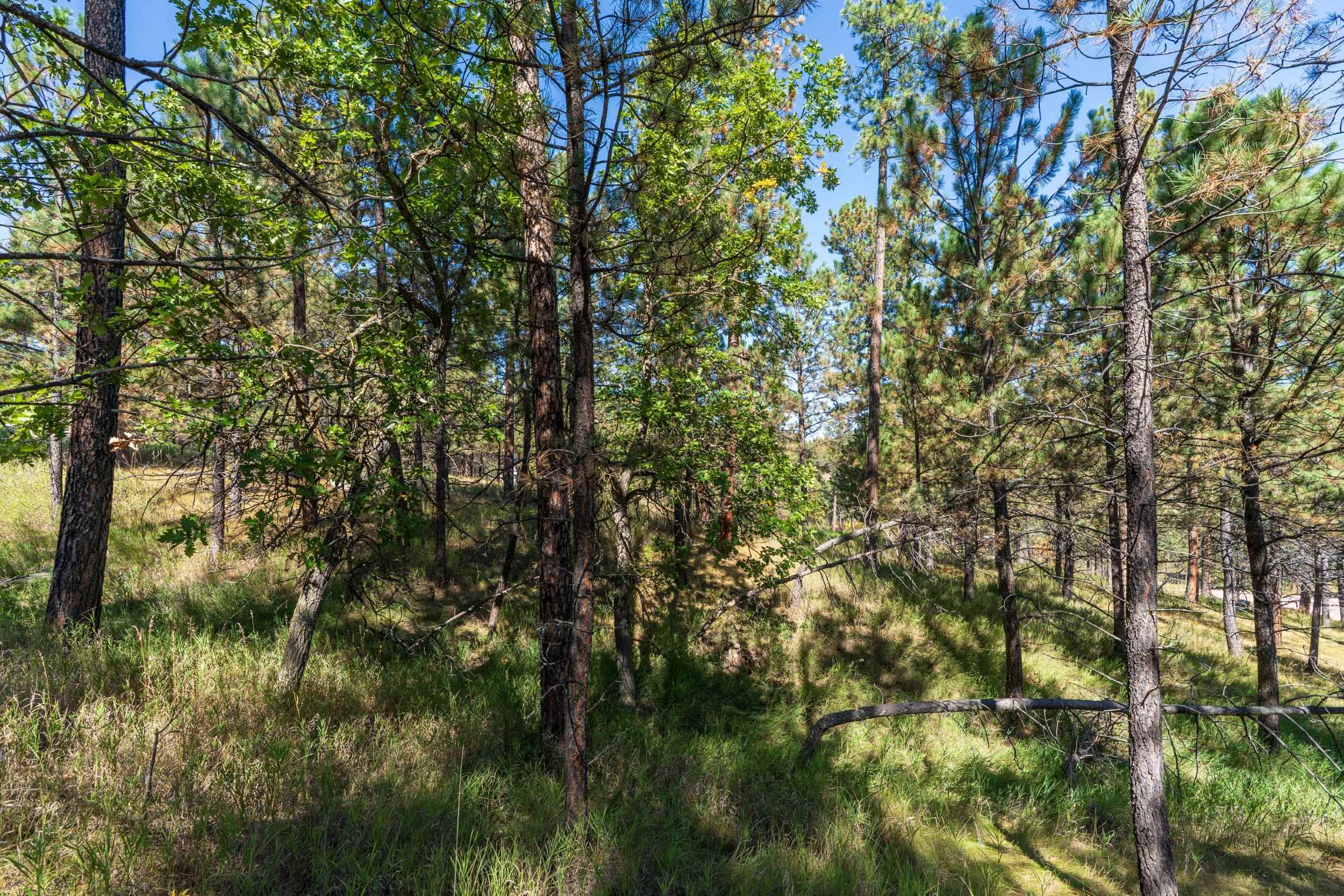 24409 Milo Lane Property Photo 12