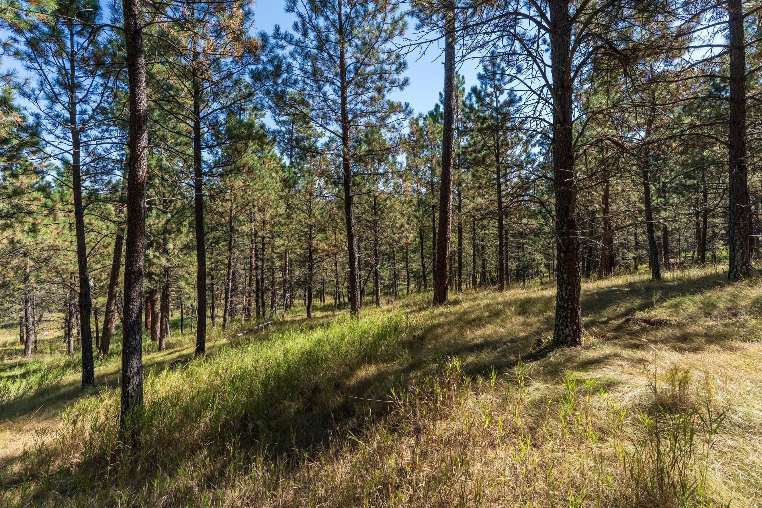 24409 Milo Lane Property Photo 13