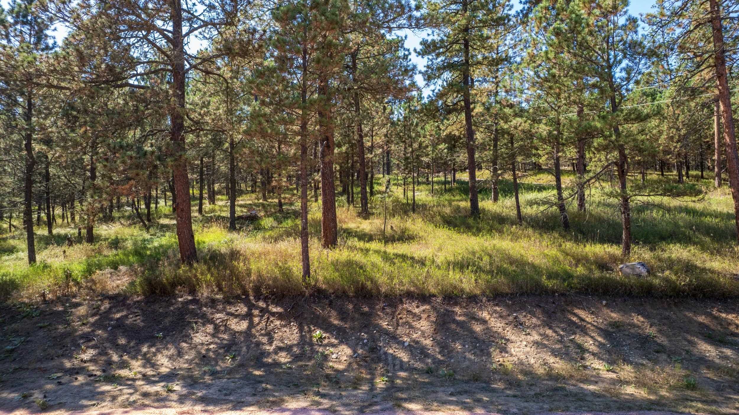 24409 Milo Lane Property Photo 14