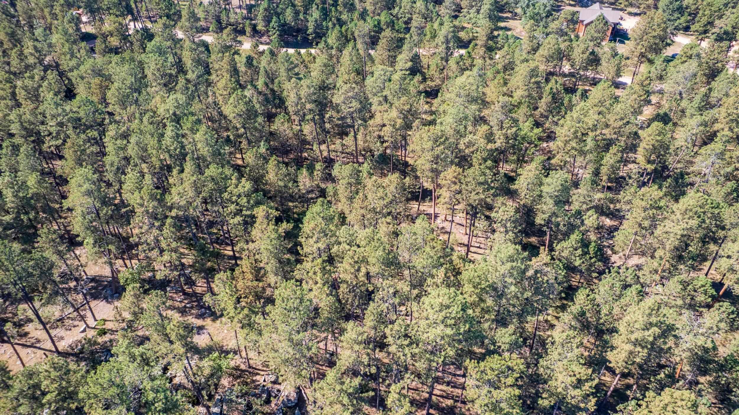 24409 Milo Lane Property Photo 18