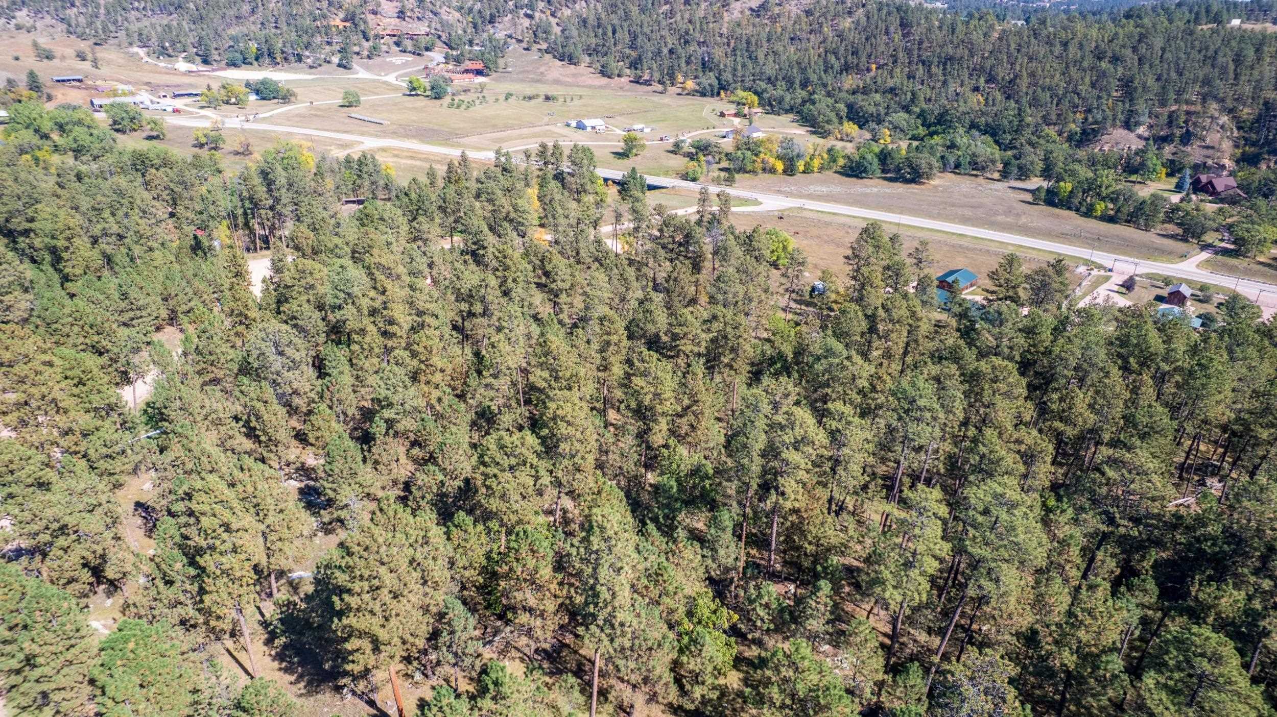 24409 Milo Lane Property Photo 20