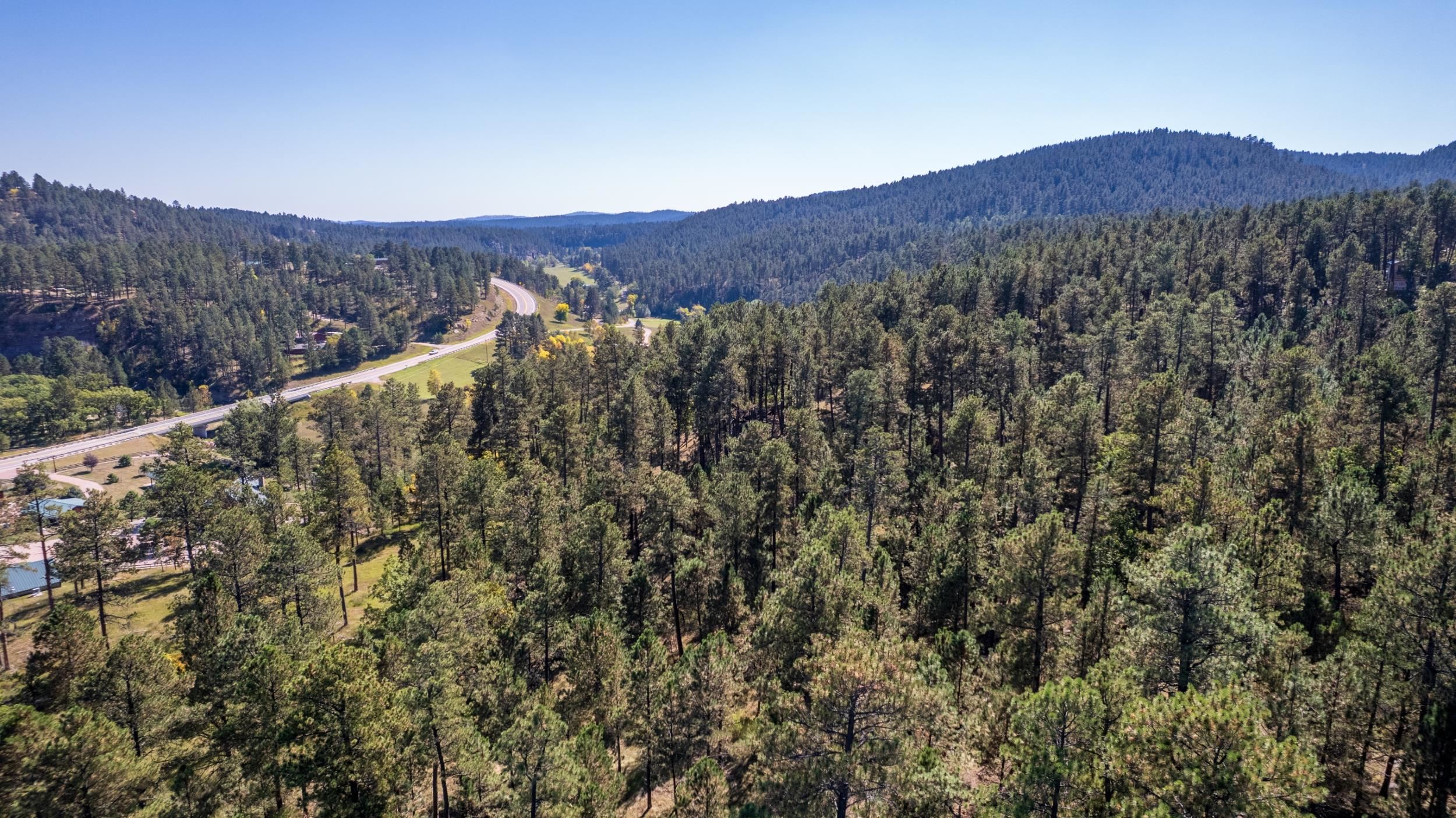 24409 Milo Lane Property Photo 21