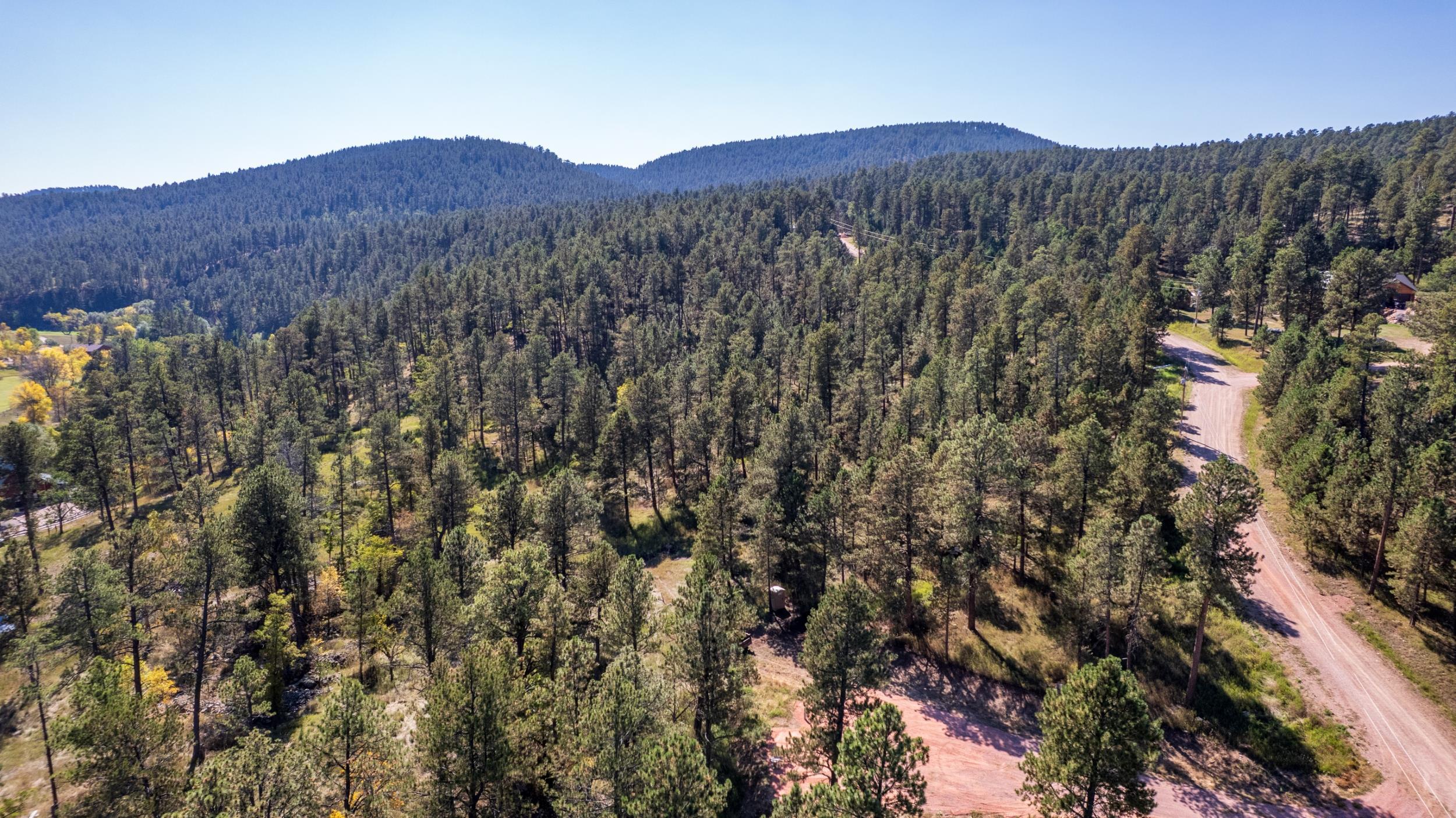 24409 Milo Lane Property Photo 22