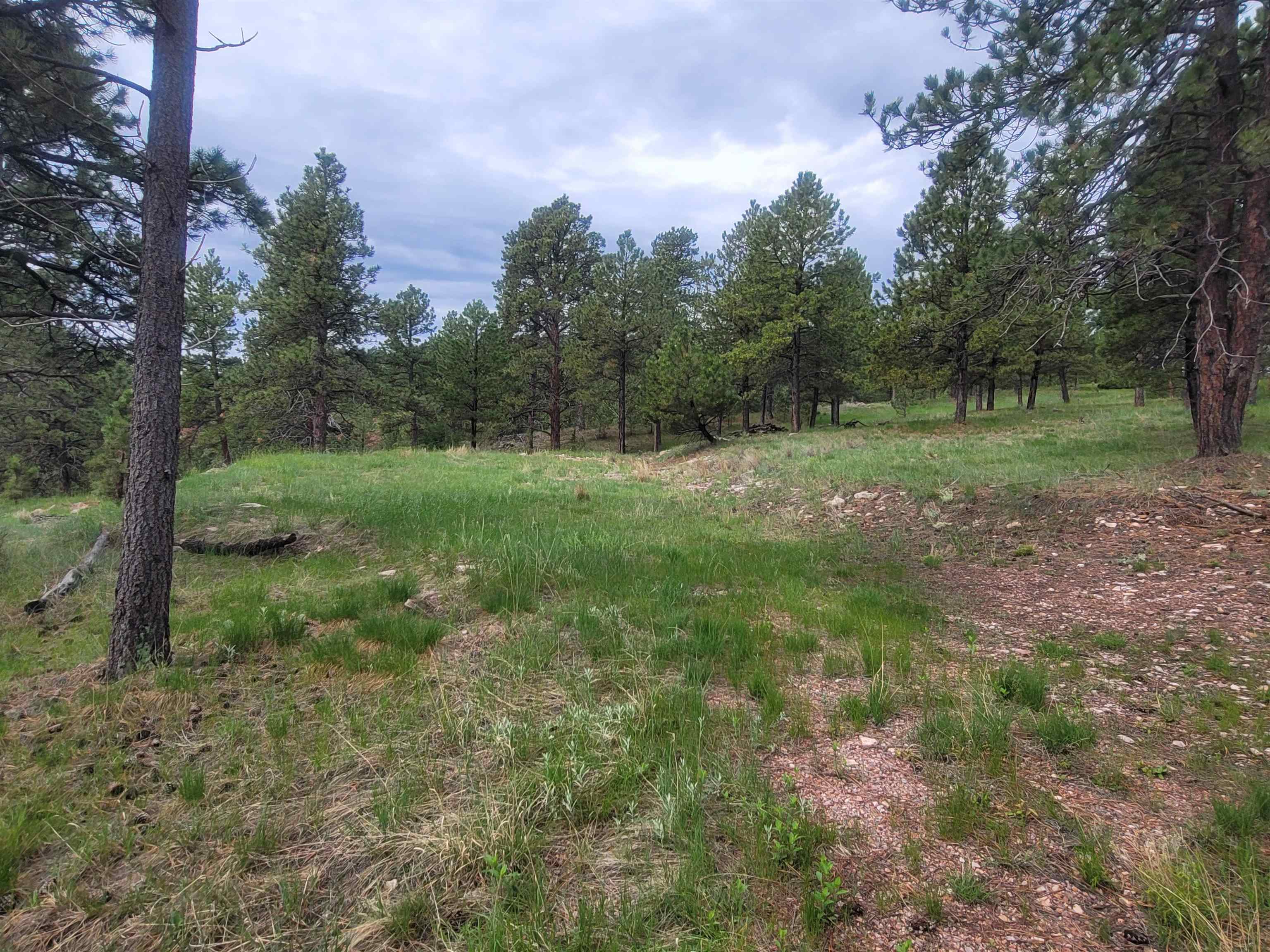 24653 Outback Trail Property Photo 1