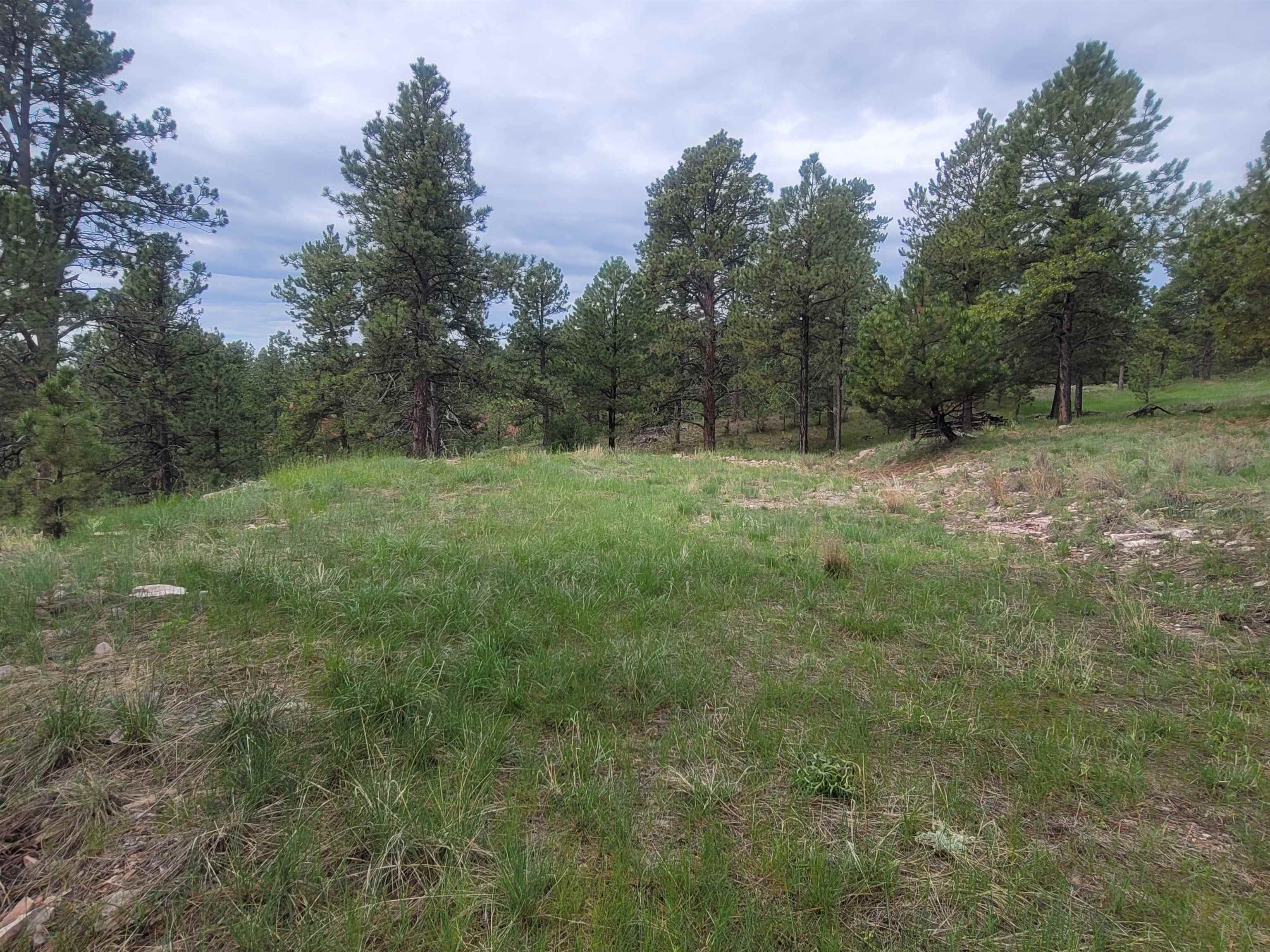 24653 Outback Trail Property Photo 2