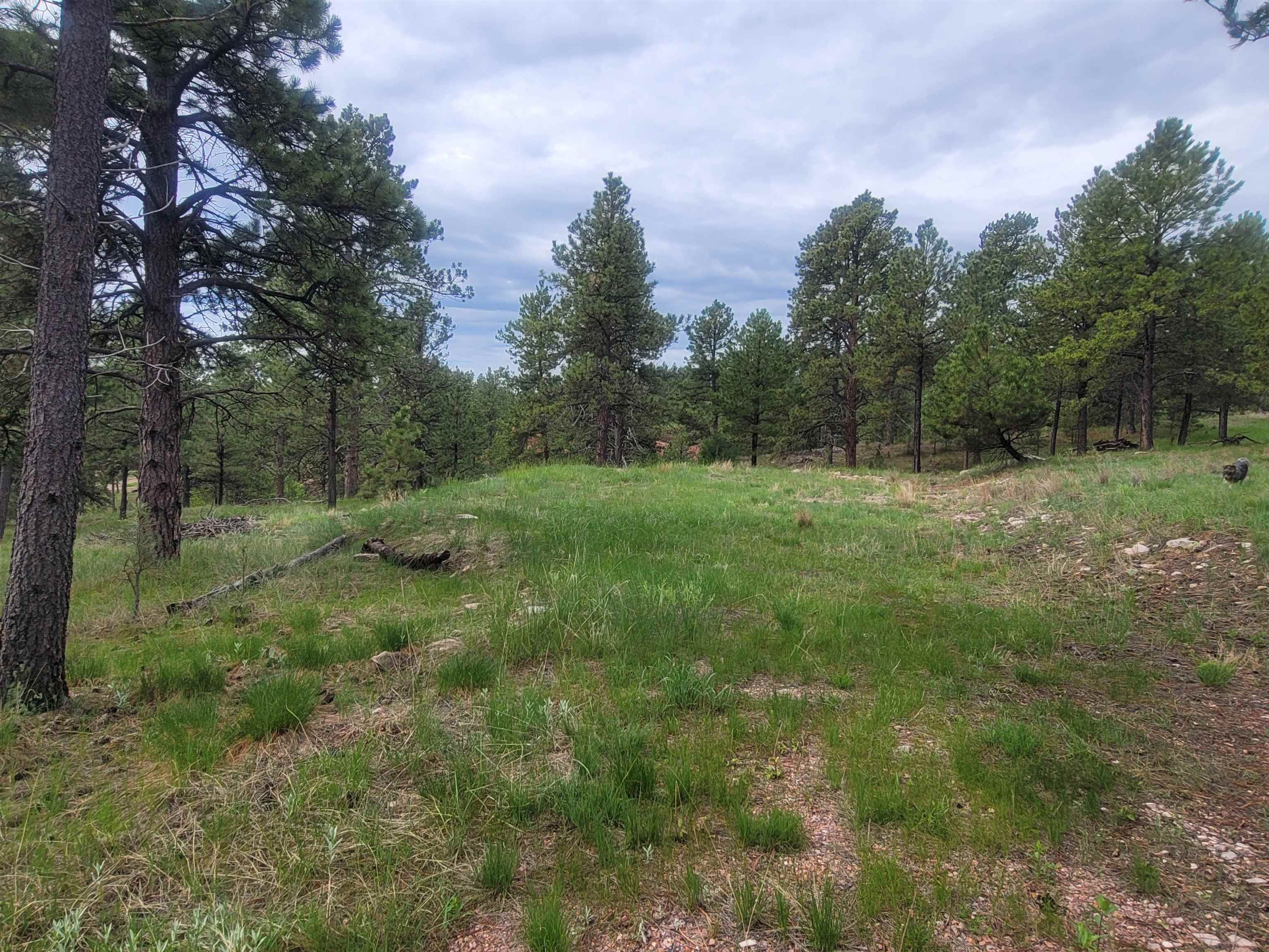 24653 Outback Trail Property Photo 3