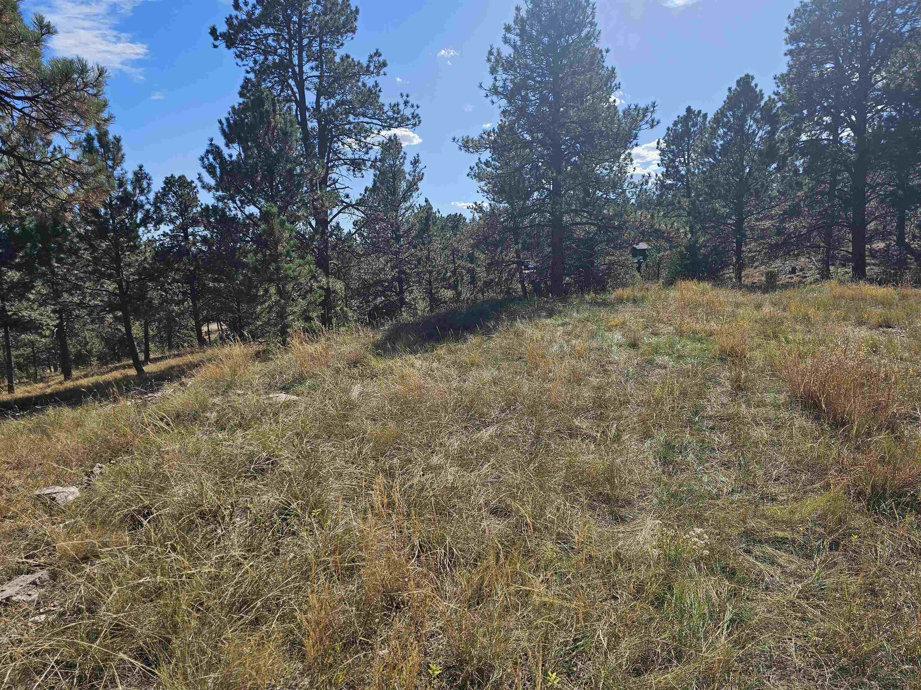24653 Outback Trail Property Photo 7