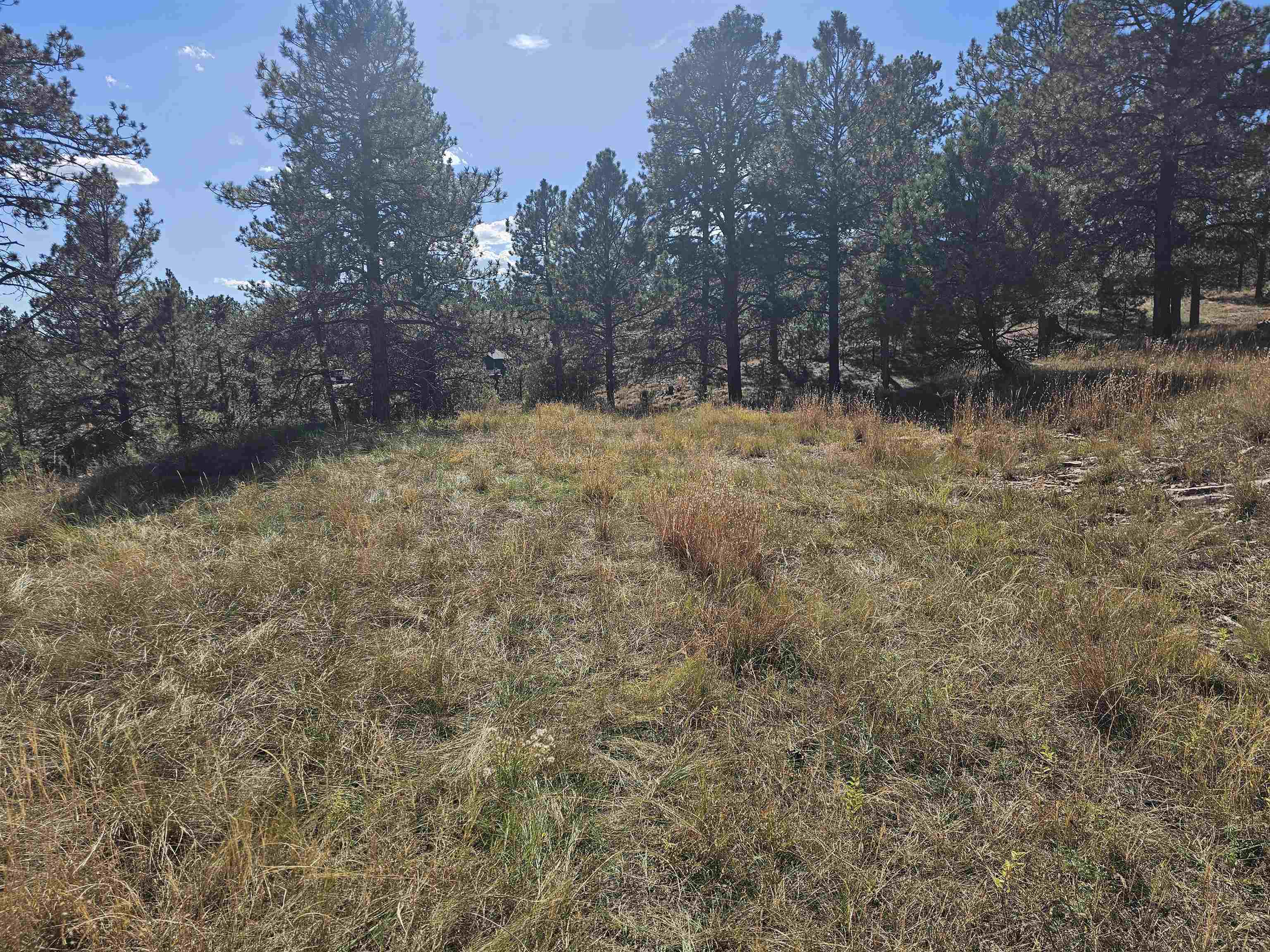 24653 Outback Trail Property Photo 8