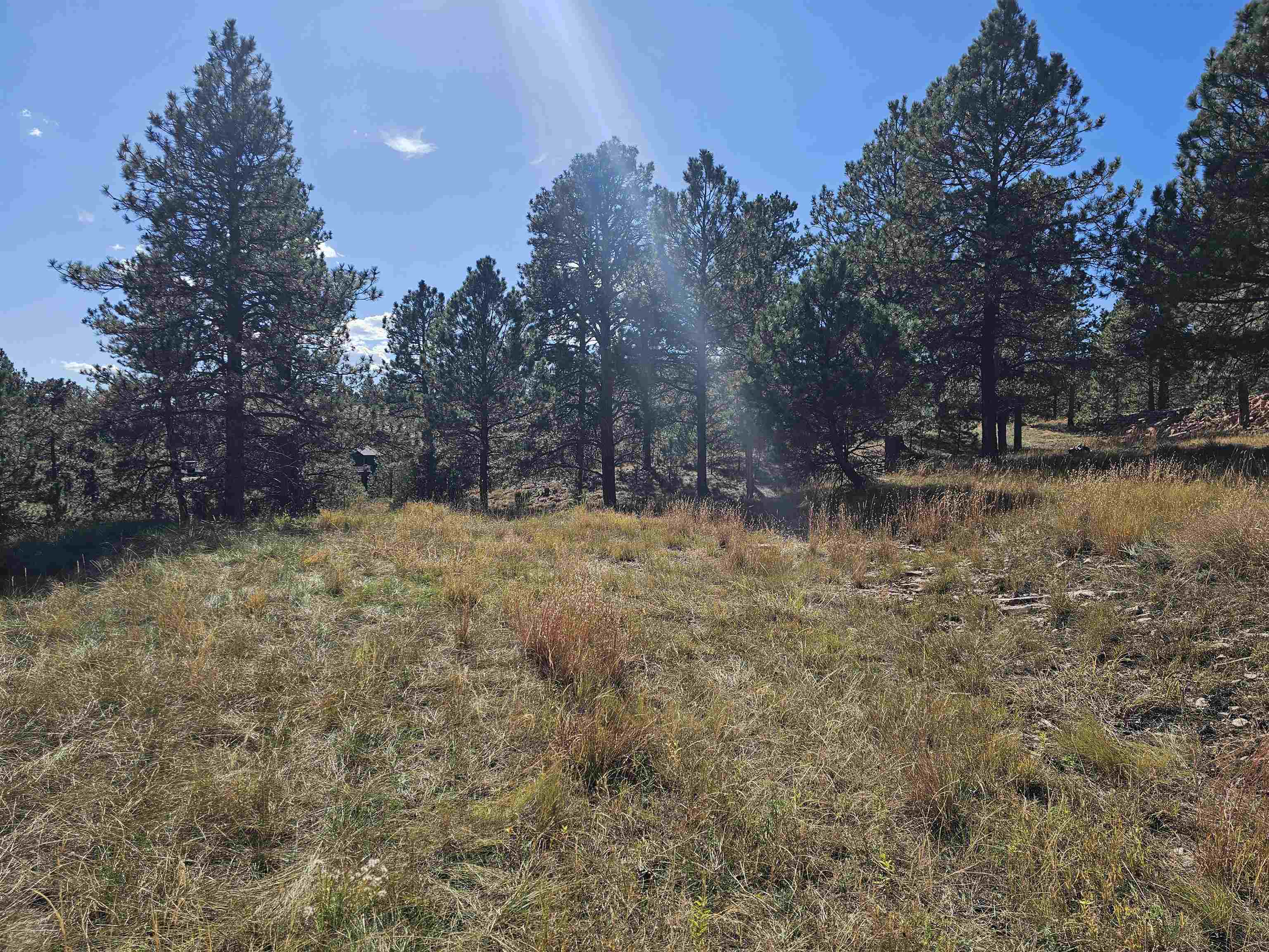 24653 Outback Trail Property Photo 9