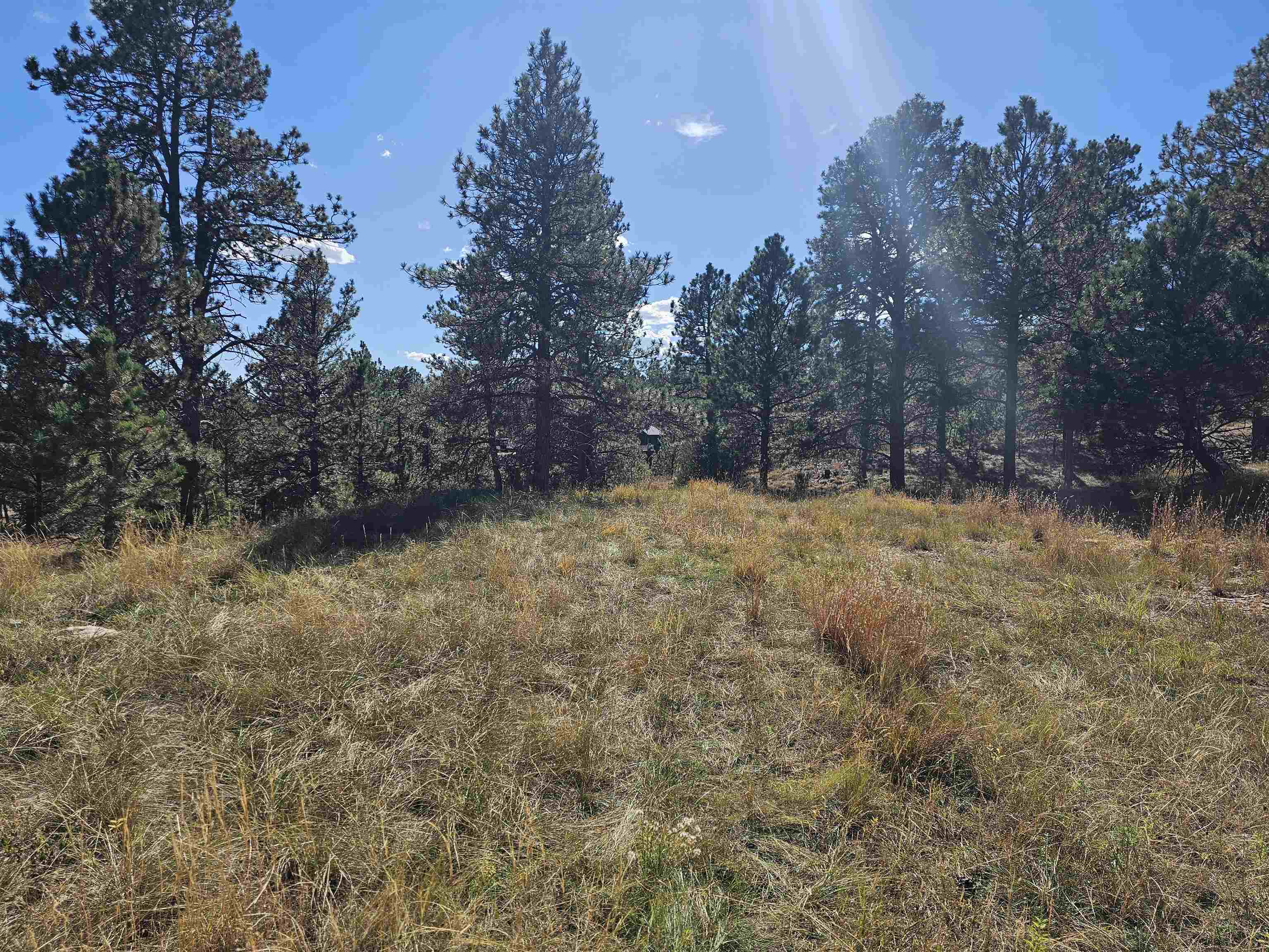 24653 Outback Trail Property Photo 10