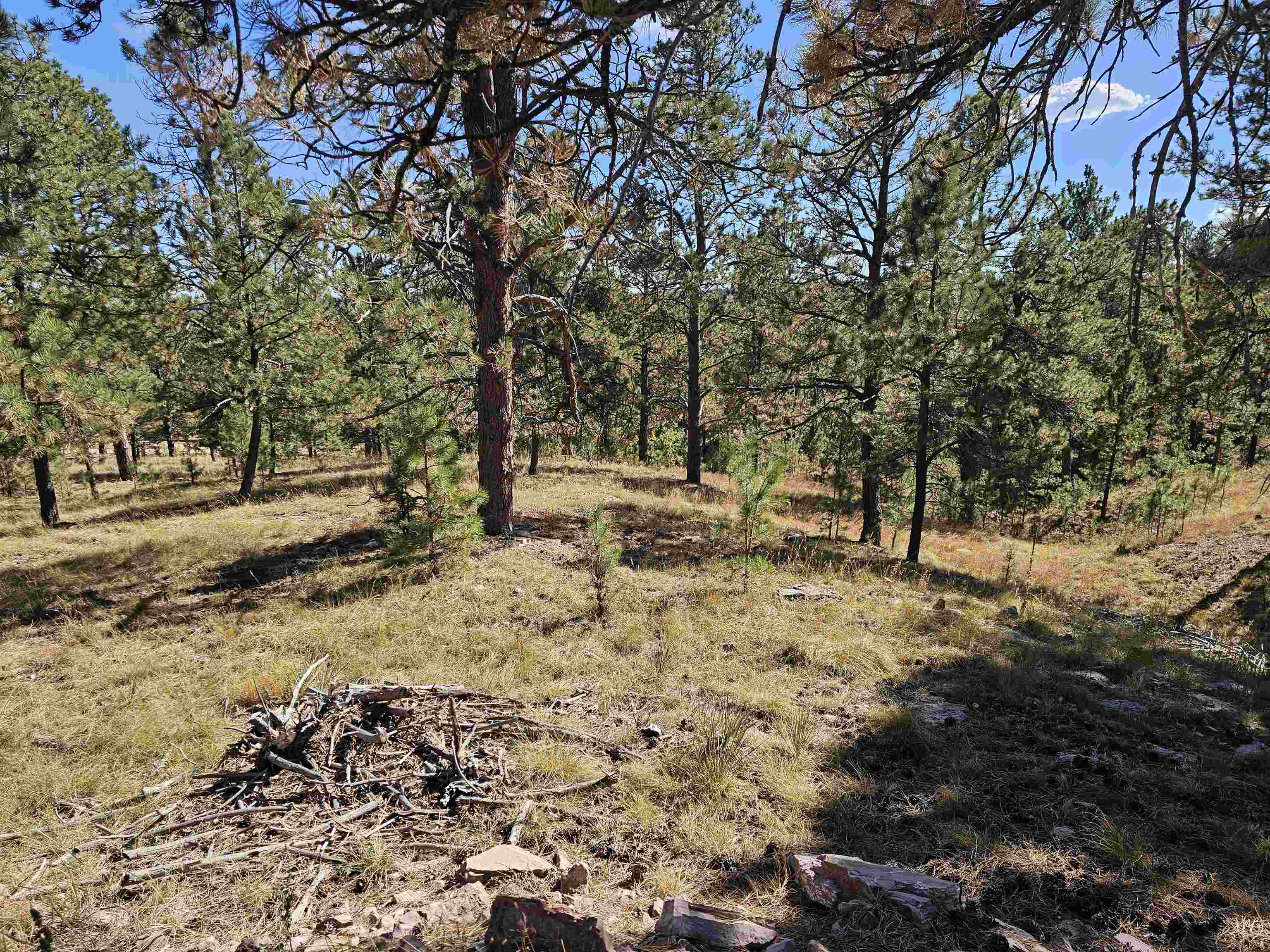 24653 Outback Trail Property Photo 11