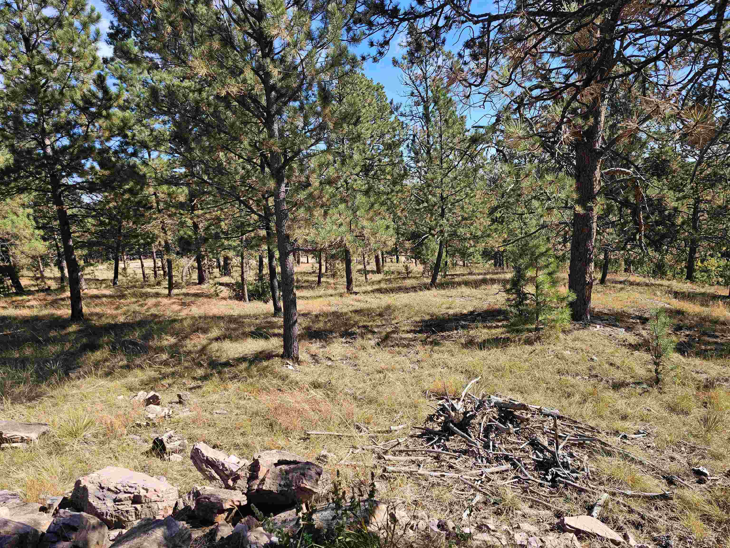 24653 Outback Trail Property Photo 12