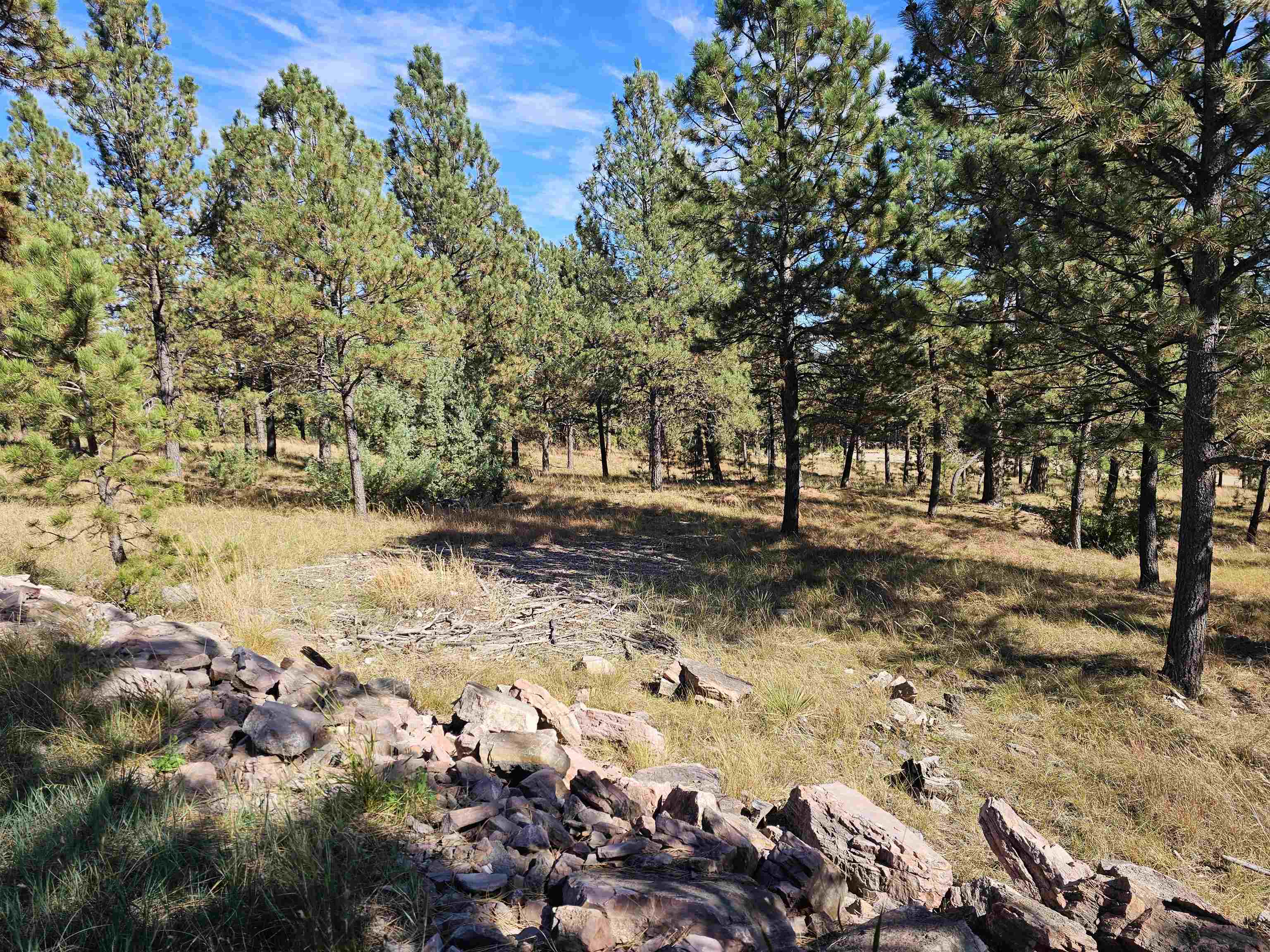 24653 Outback Trail Property Photo 13