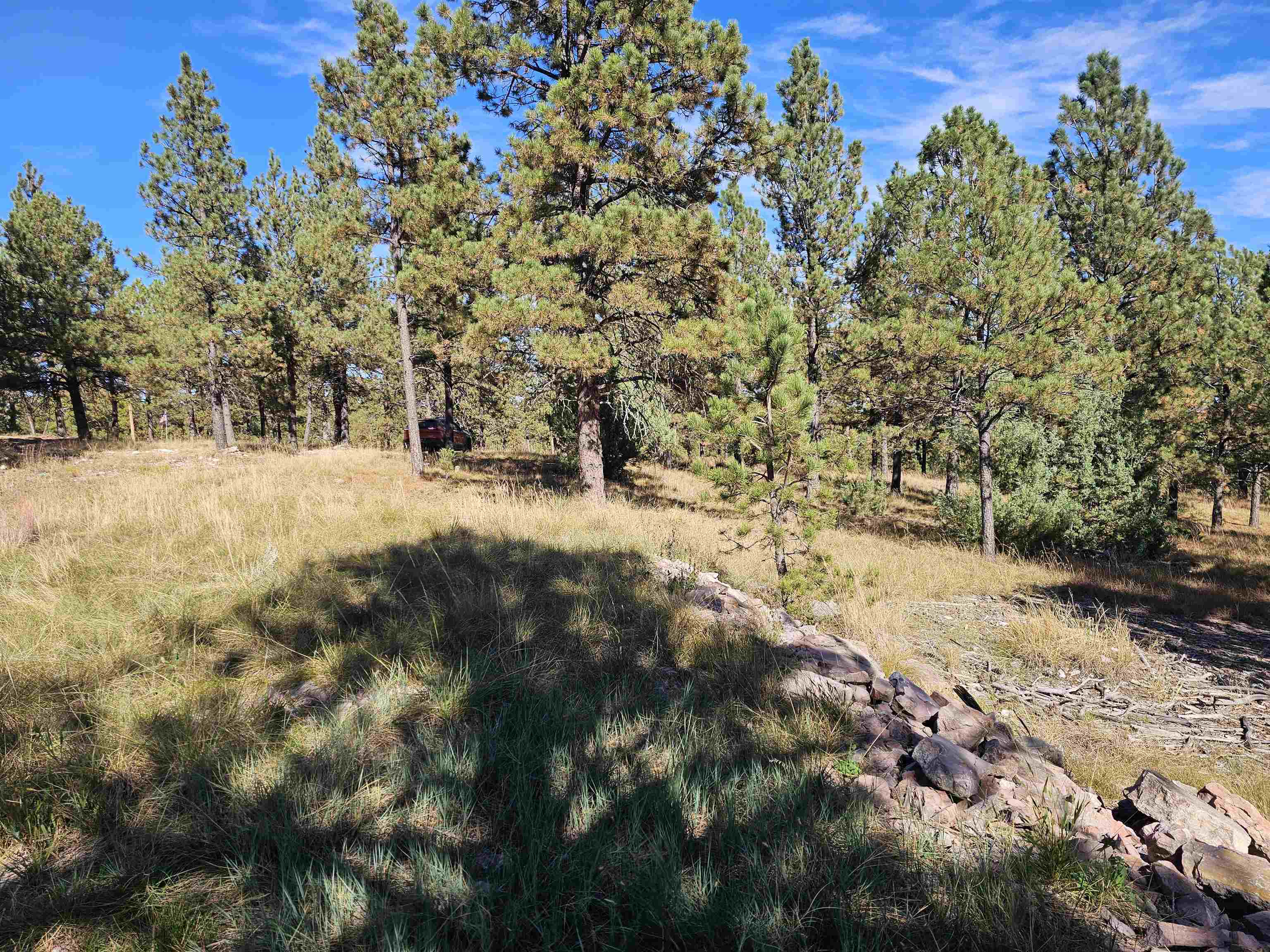 24653 Outback Trail Property Photo 14