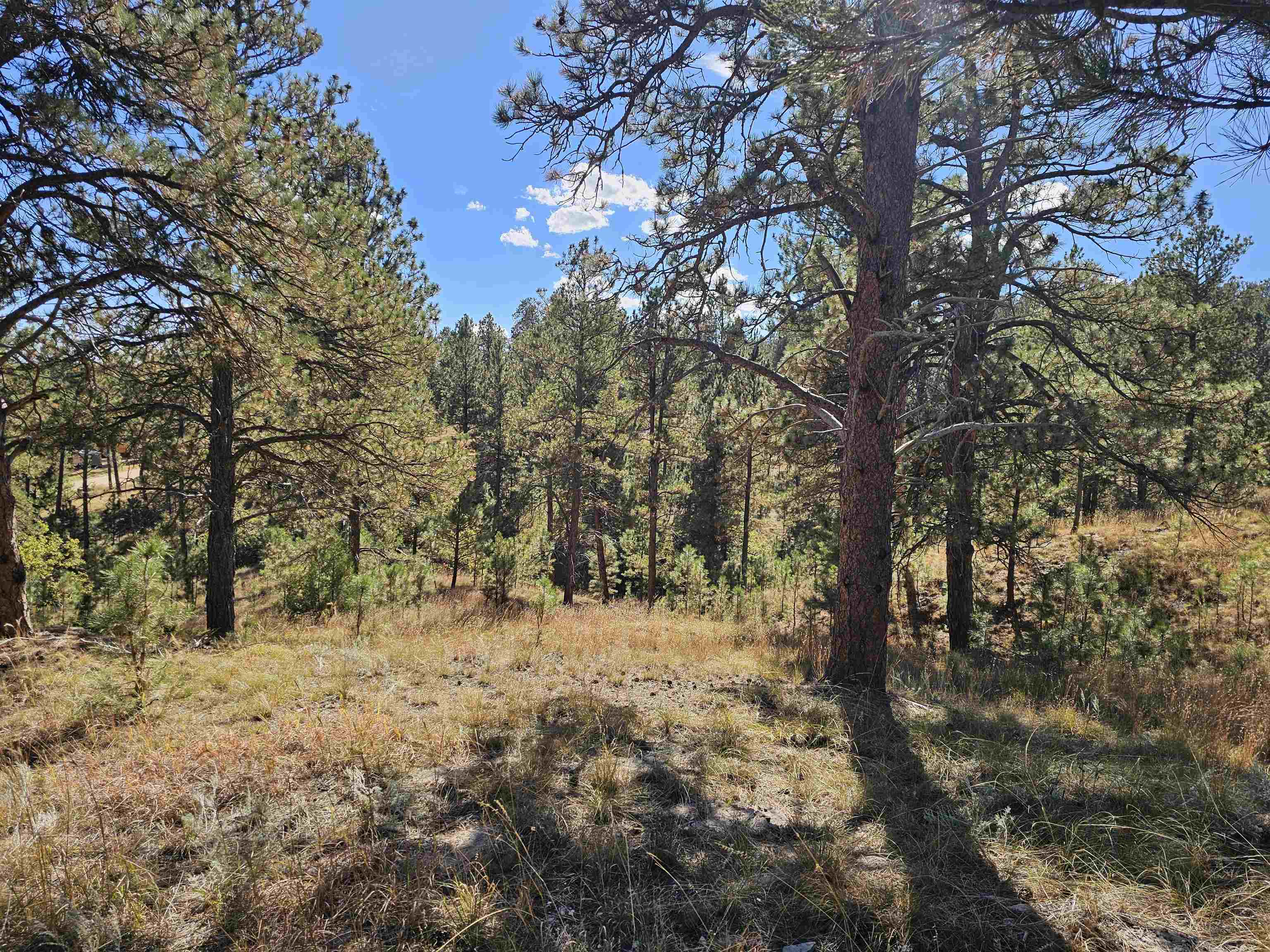 24653 Outback Trail Property Photo 16