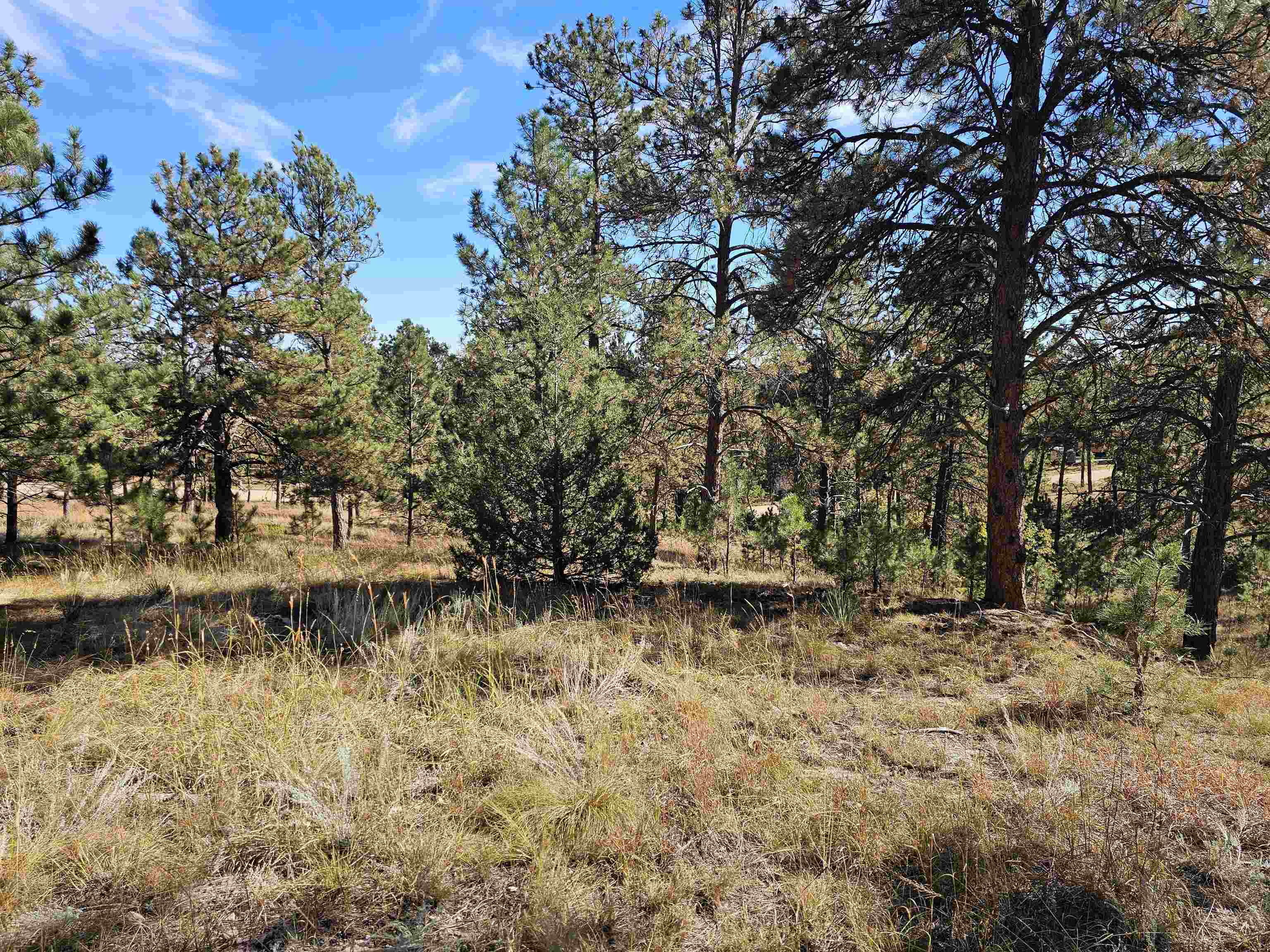 24653 Outback Trail Property Photo 17