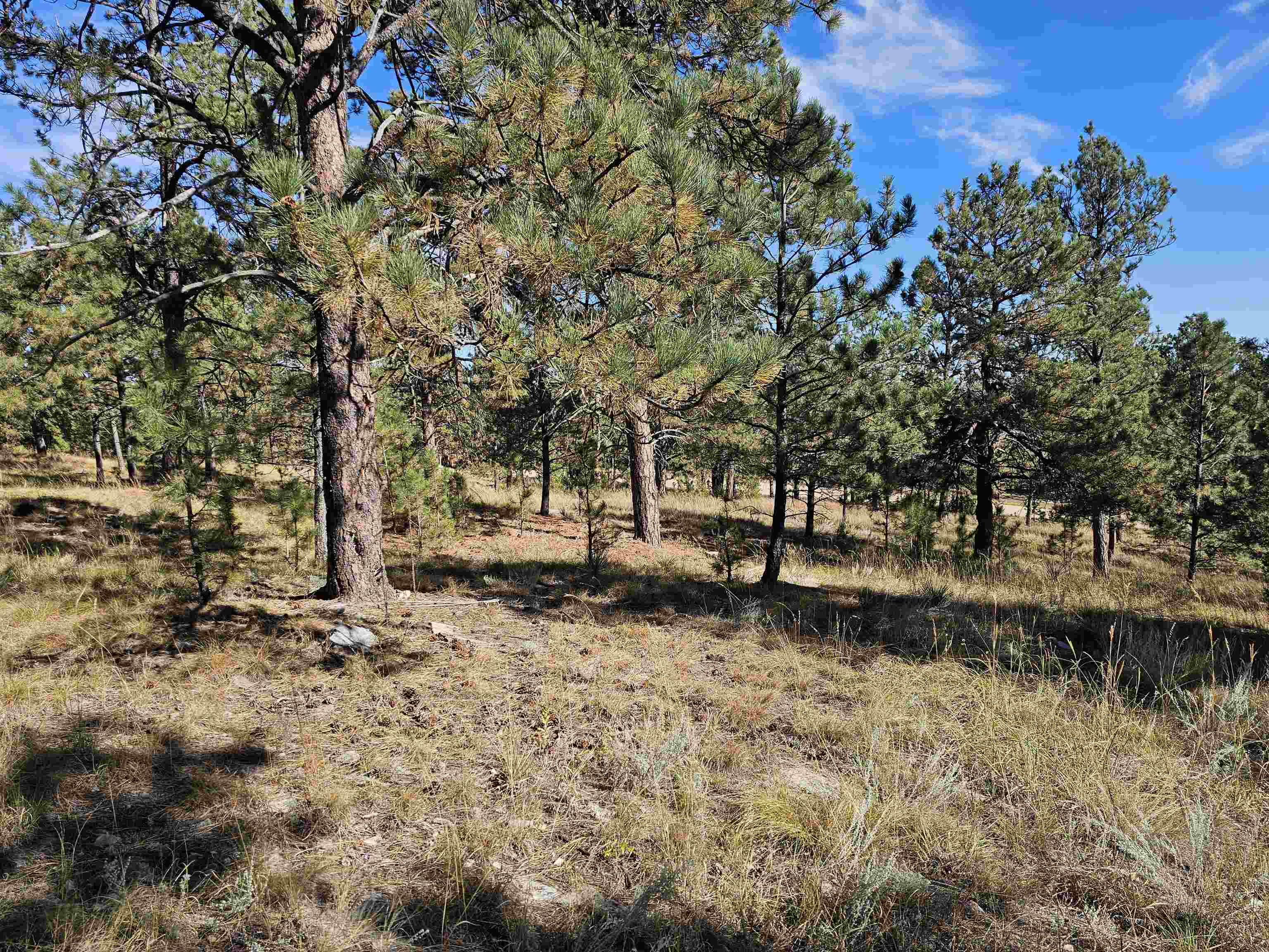 24653 Outback Trail Property Photo 18