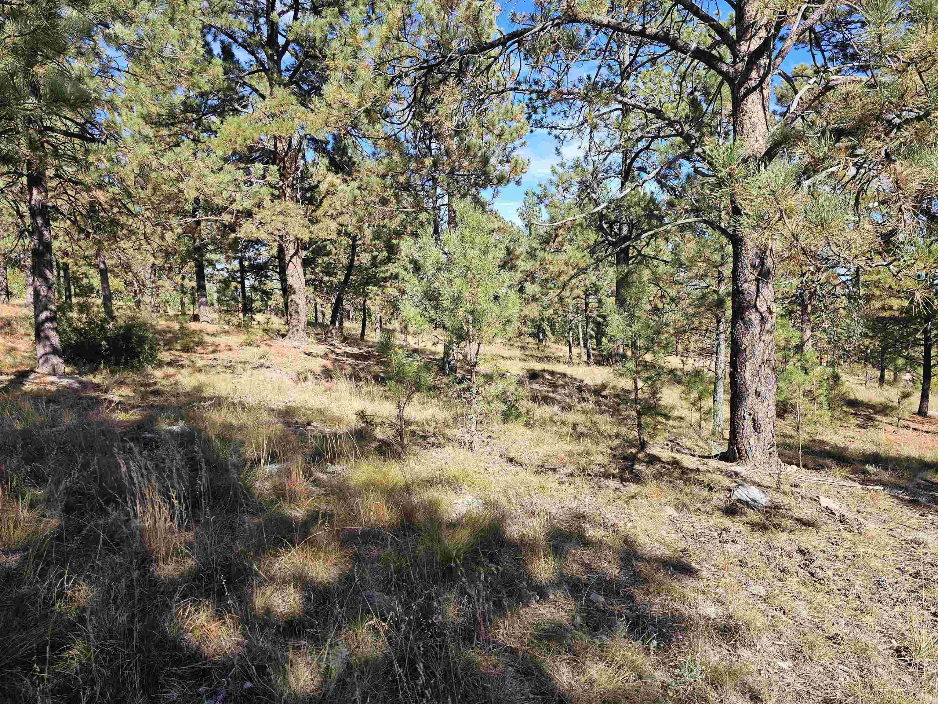 24653 Outback Trail Property Photo 19
