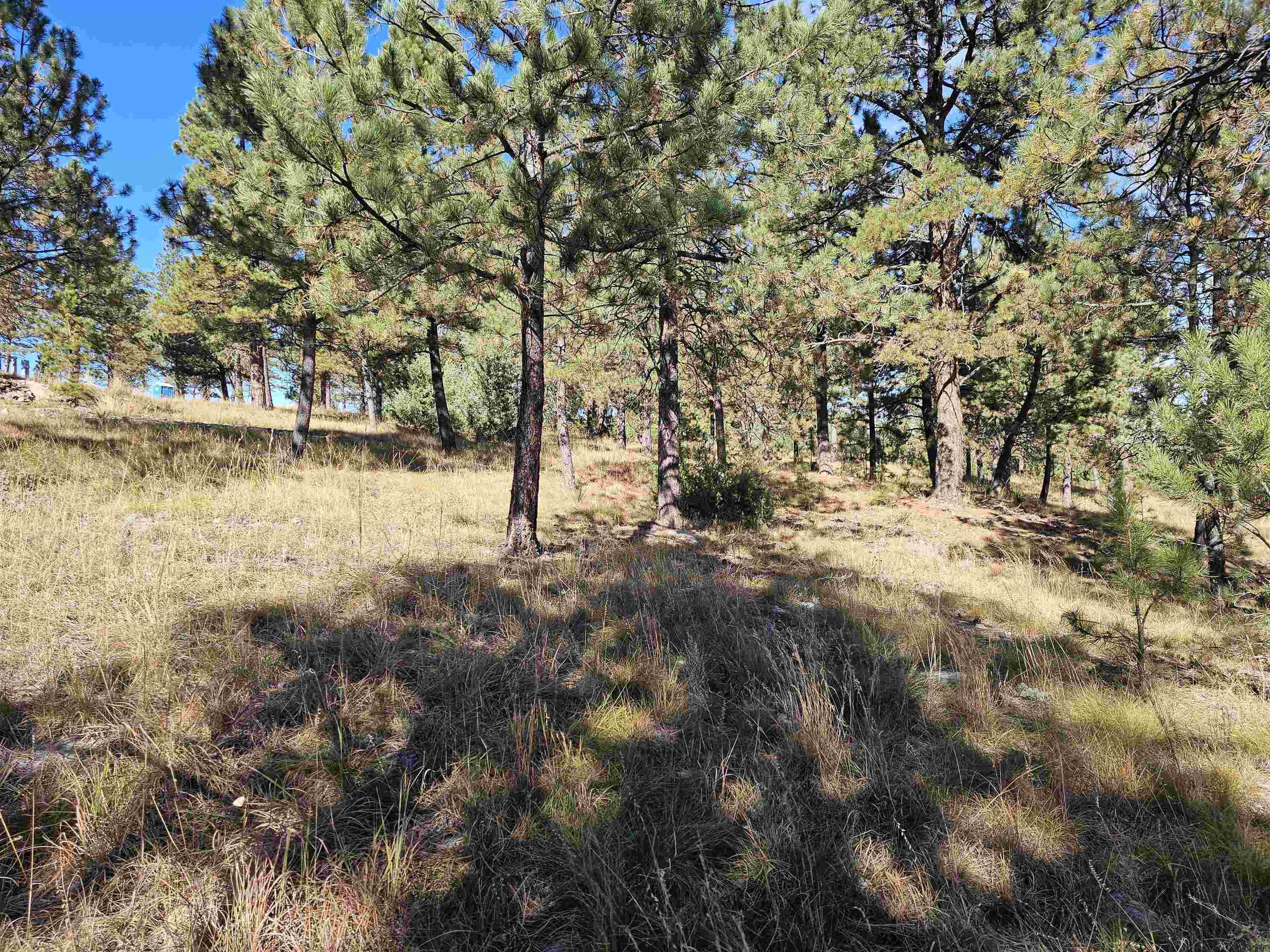 24653 Outback Trail Property Photo 20