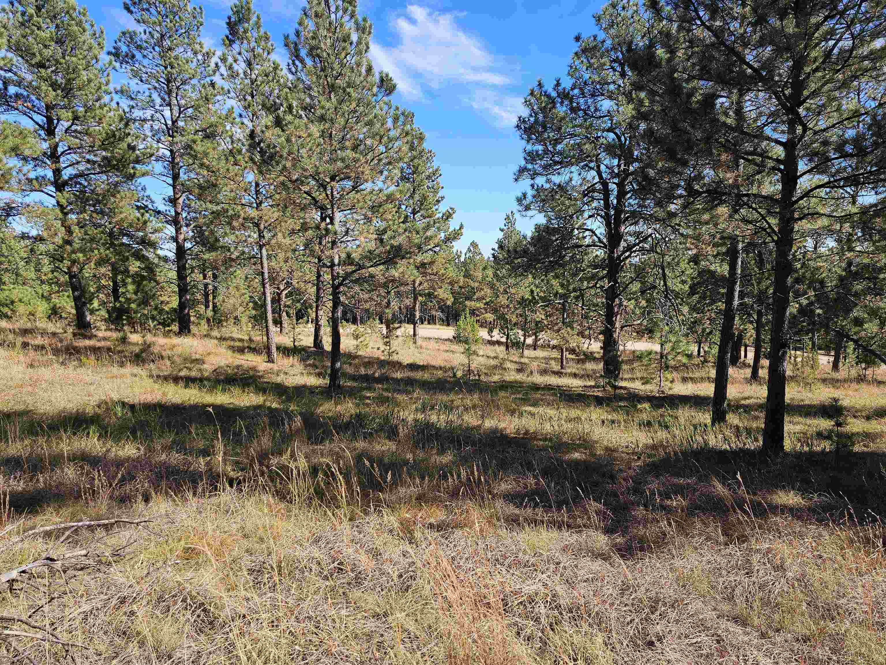 24653 Outback Trail Property Photo 21