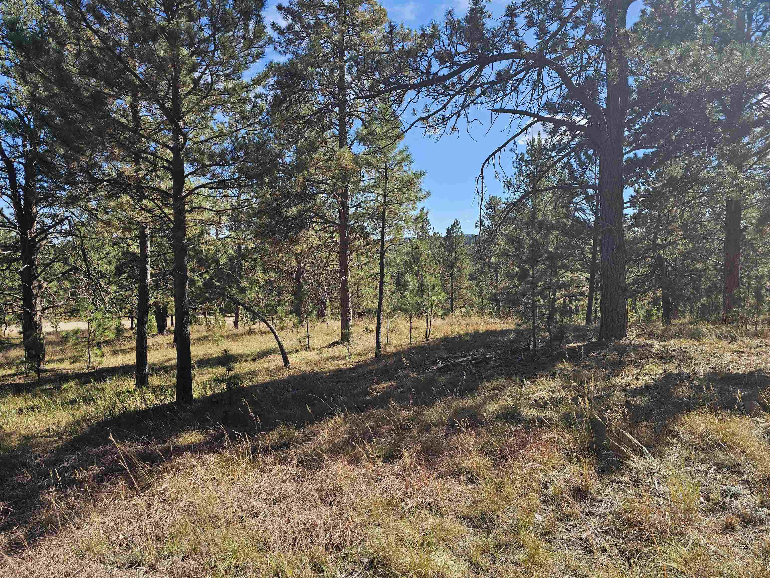24653 Outback Trail Property Photo 22