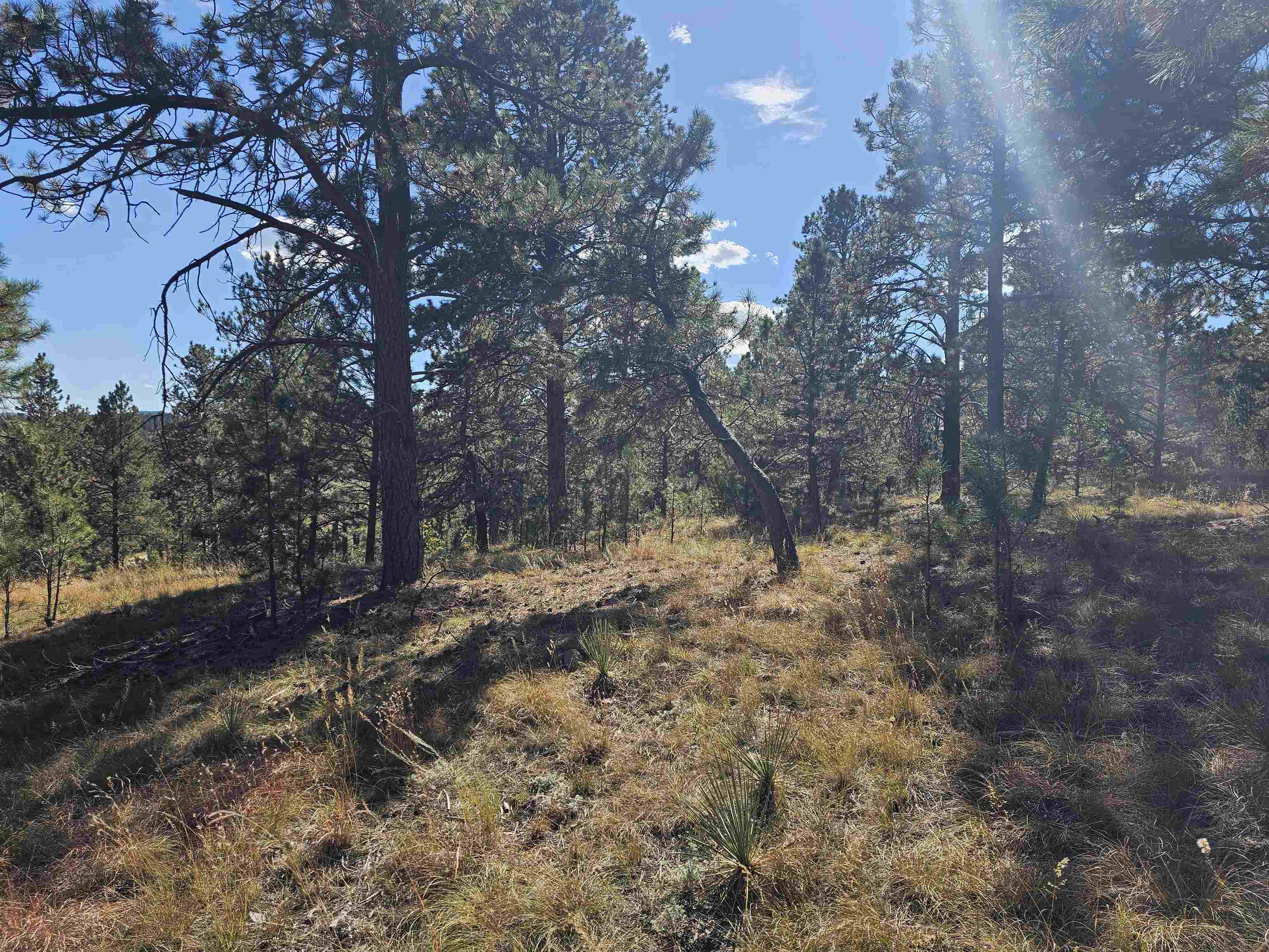 24653 Outback Trail Property Photo 23