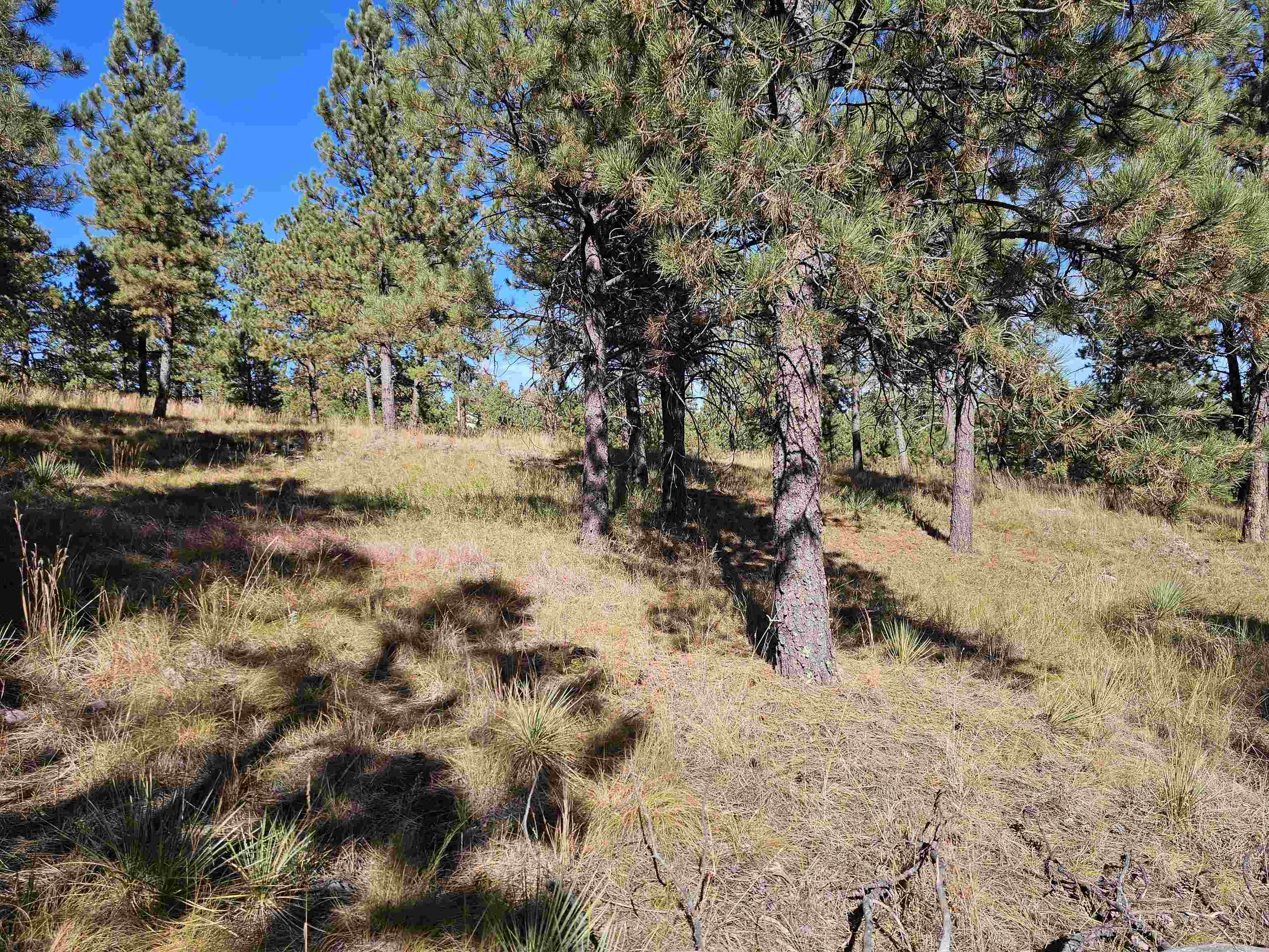 24653 Outback Trail Property Photo 24