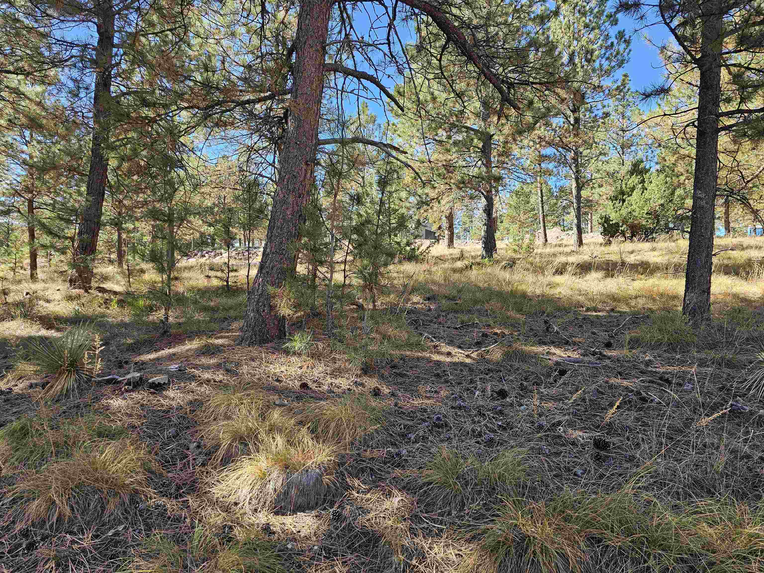 24653 Outback Trail Property Photo 25