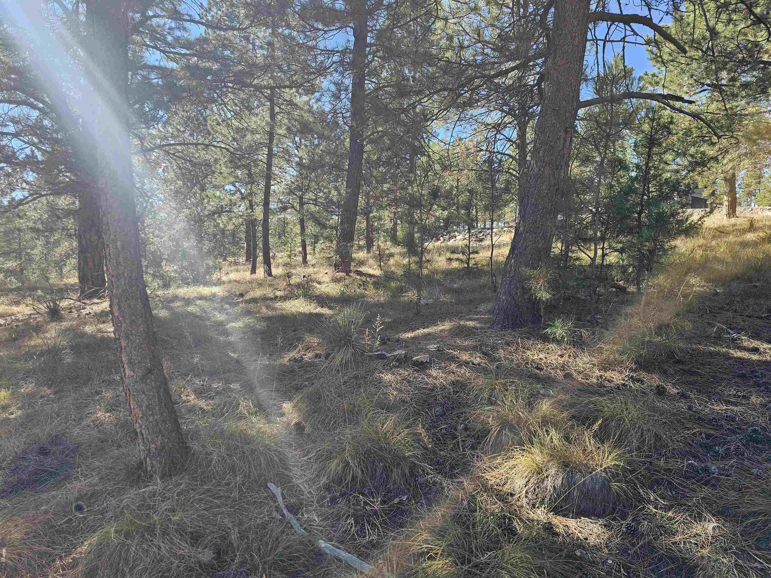 24653 Outback Trail Property Photo 26