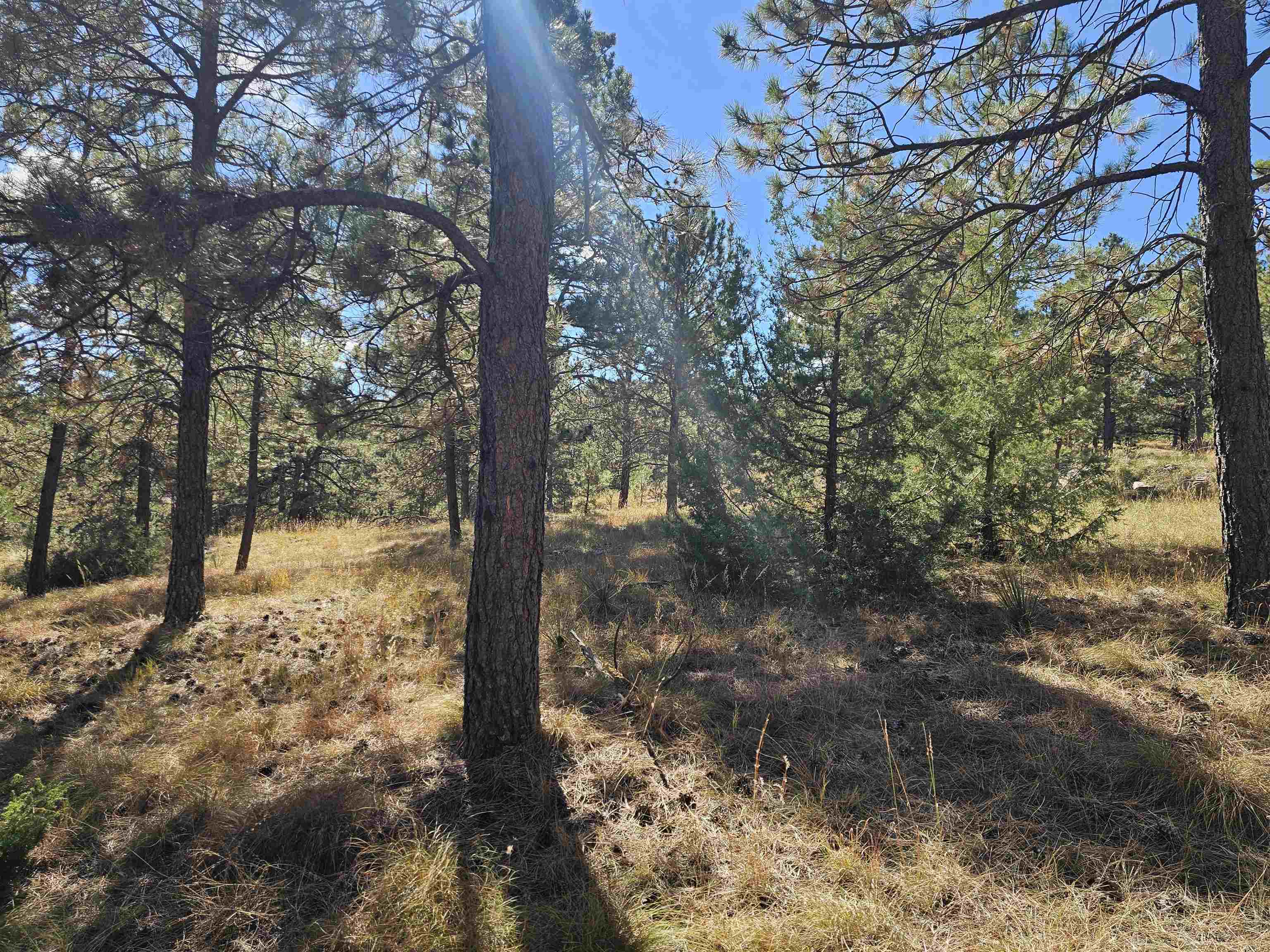 24653 Outback Trail Property Photo 27