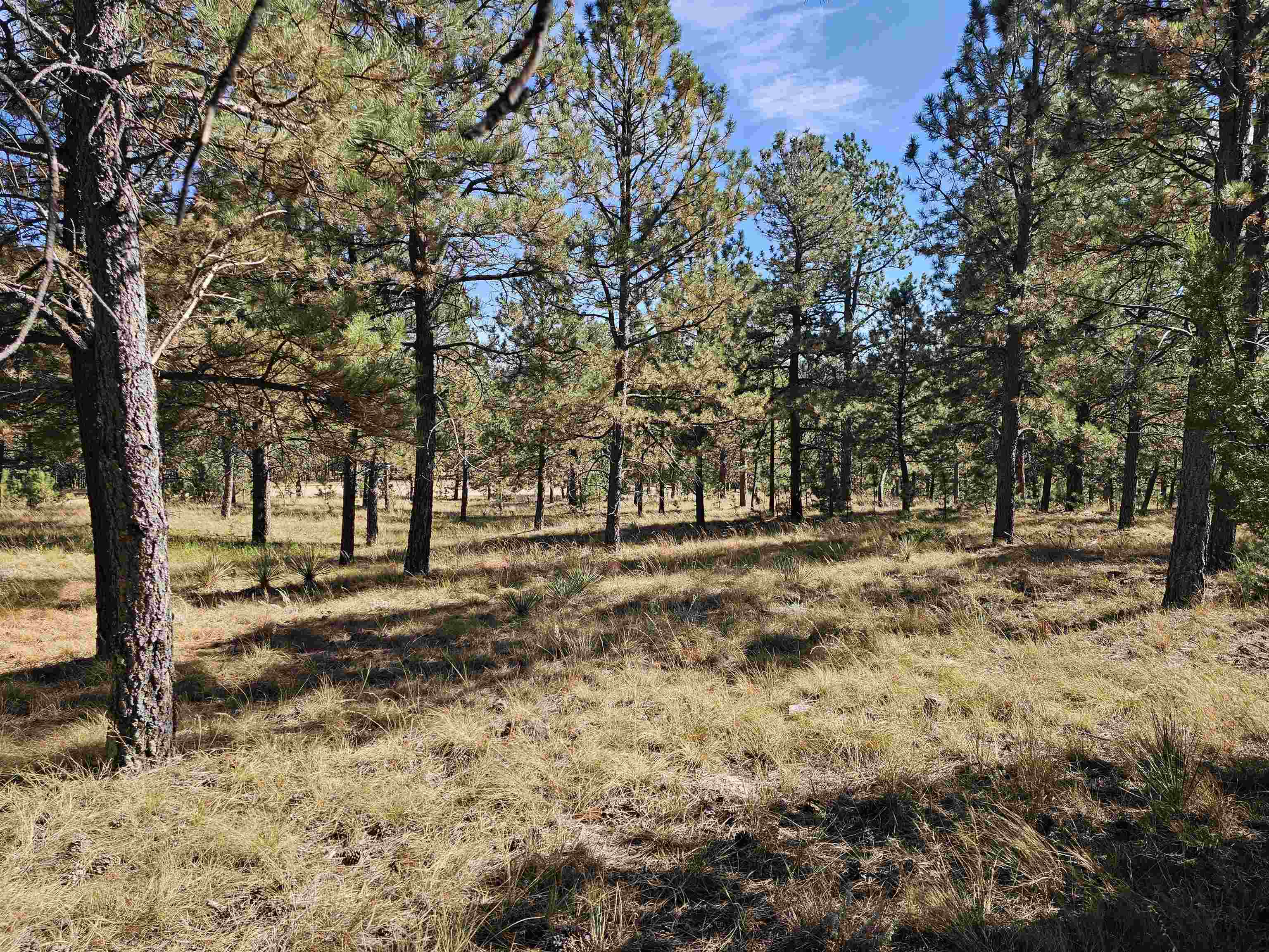 24653 Outback Trail Property Photo 28