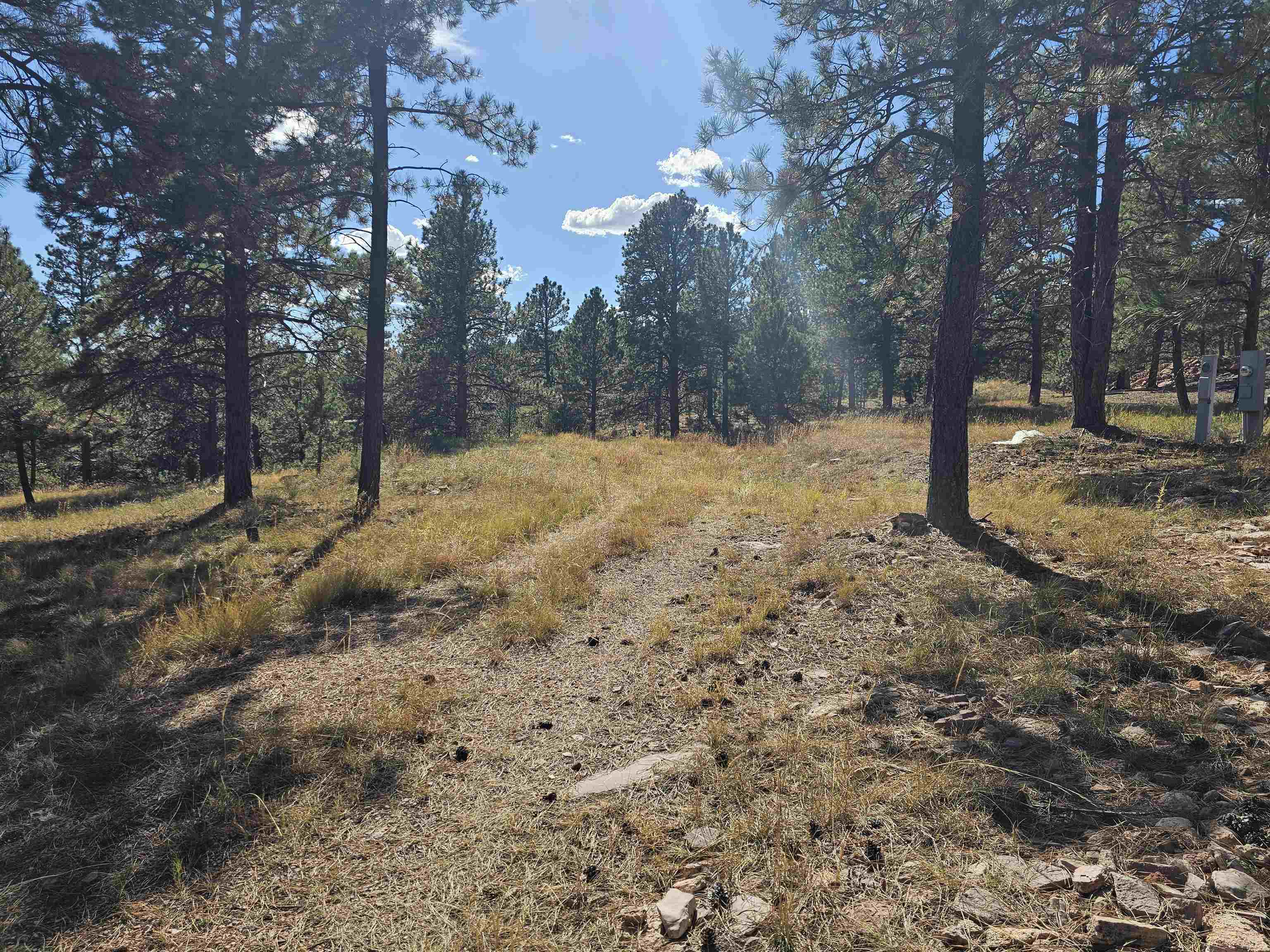 24653 Outback Trail Property Photo 29