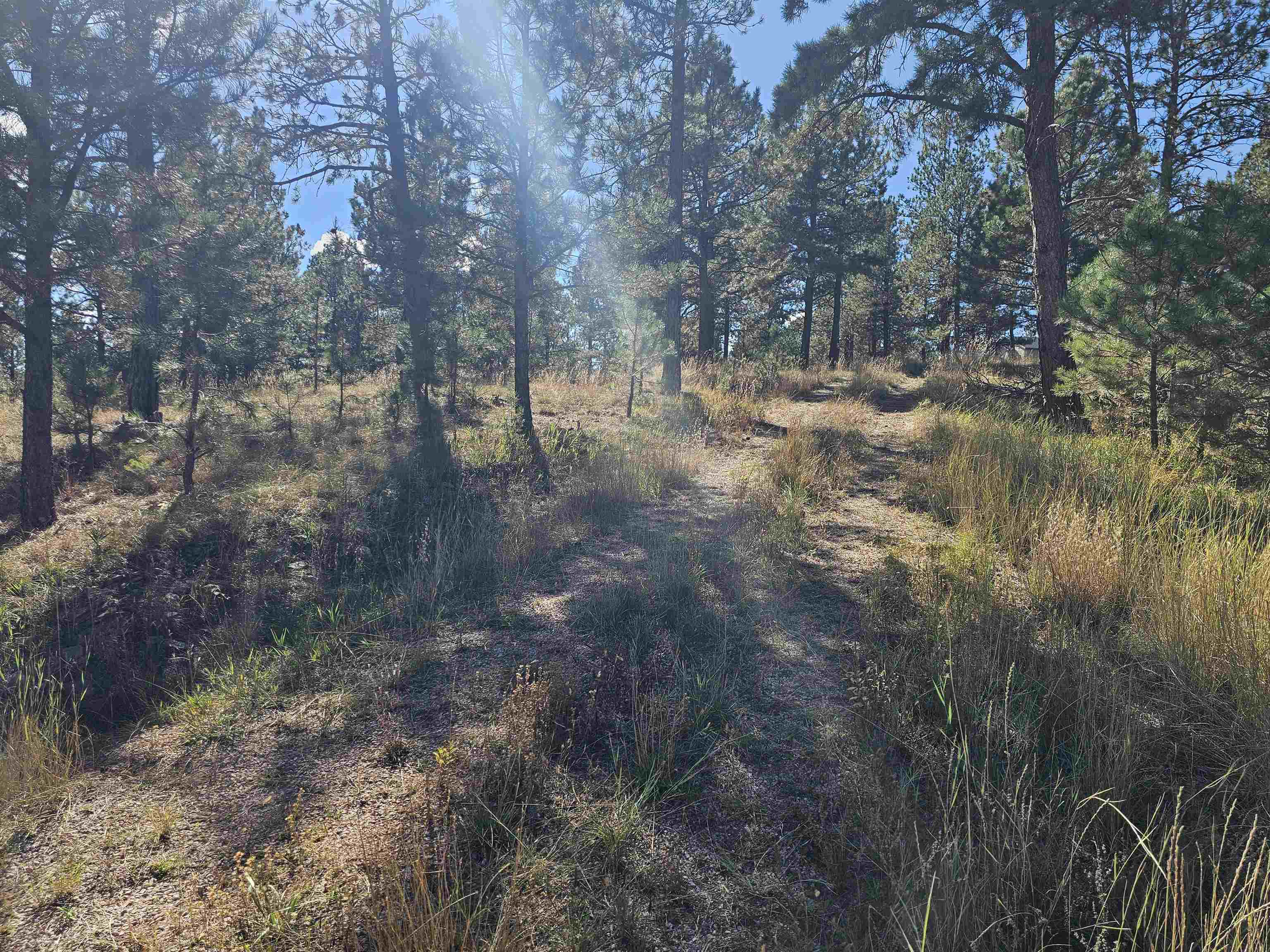 24653 Outback Trail Property Photo 30