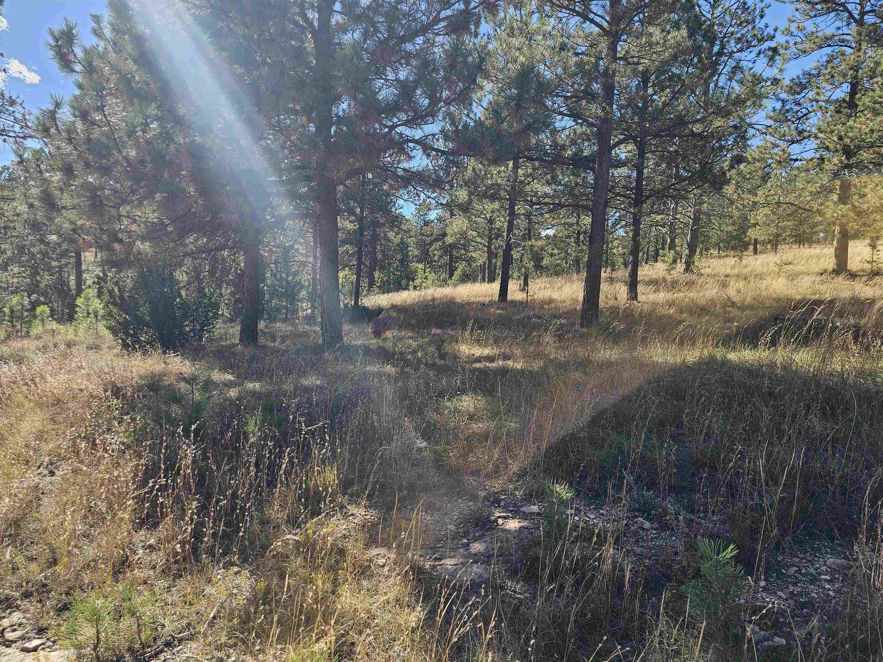 24653 Outback Trail Property Photo 32