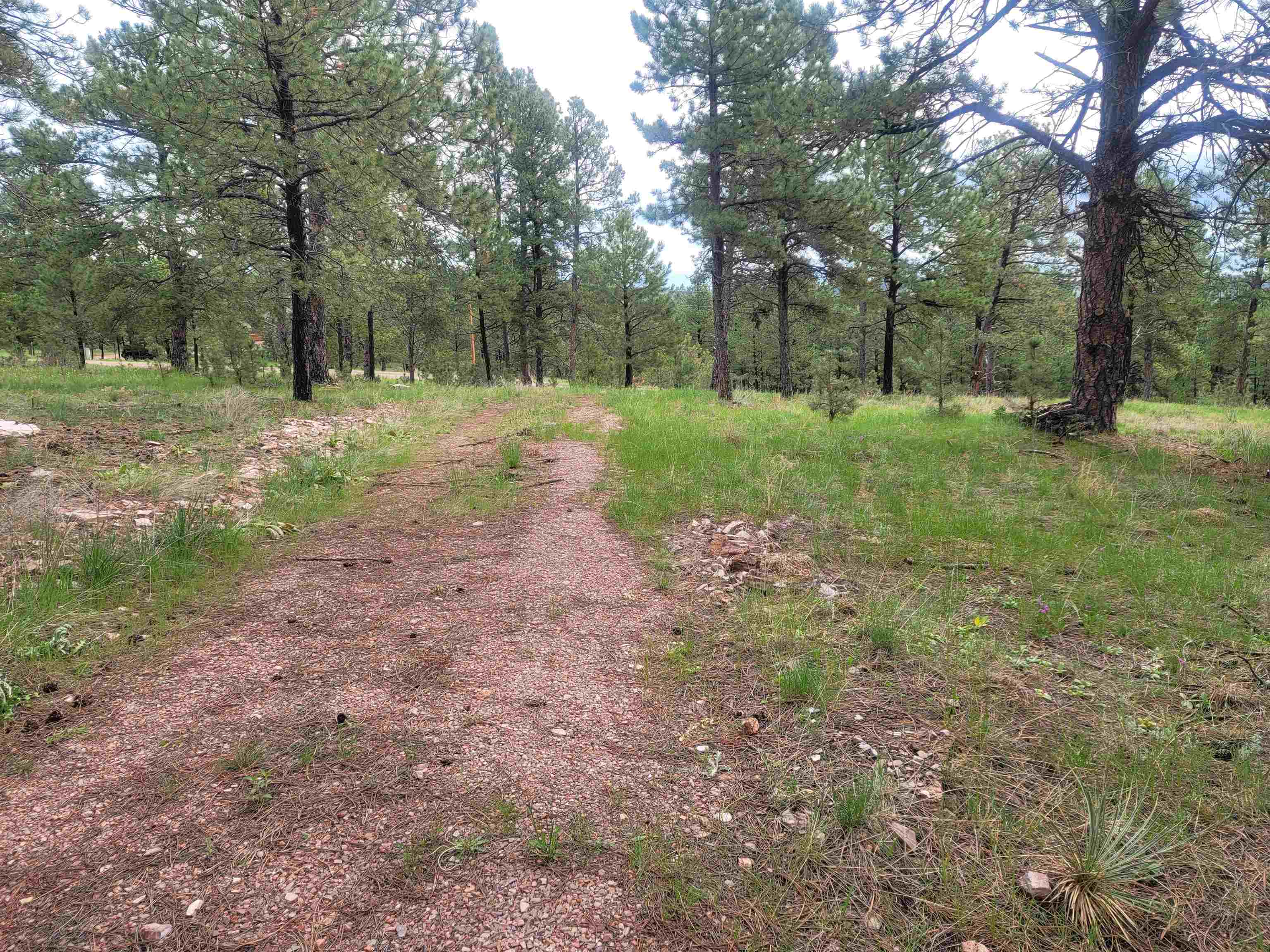 24653 Outback Trail Property Photo 34