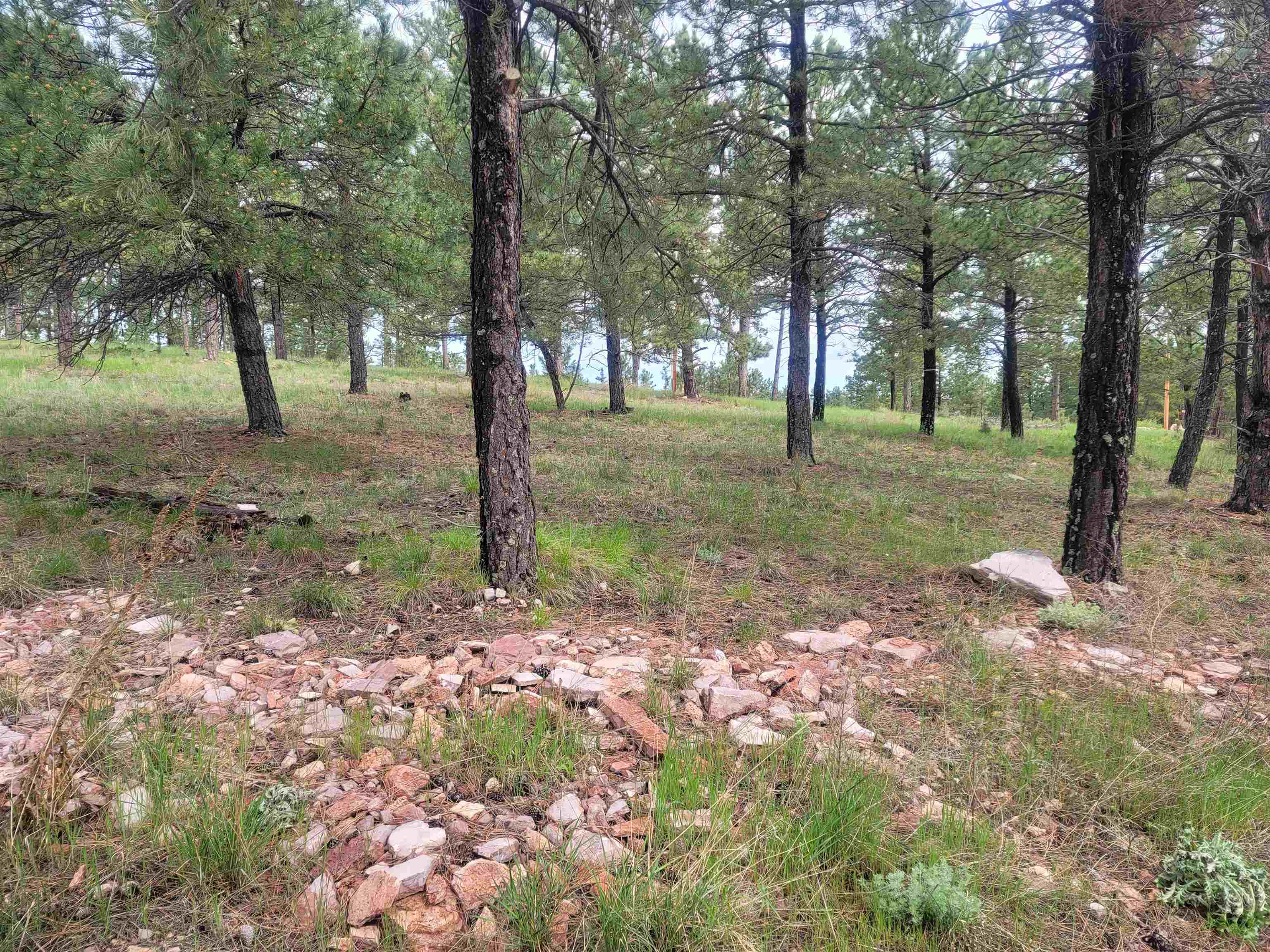 24653 Outback Trail Property Photo 35