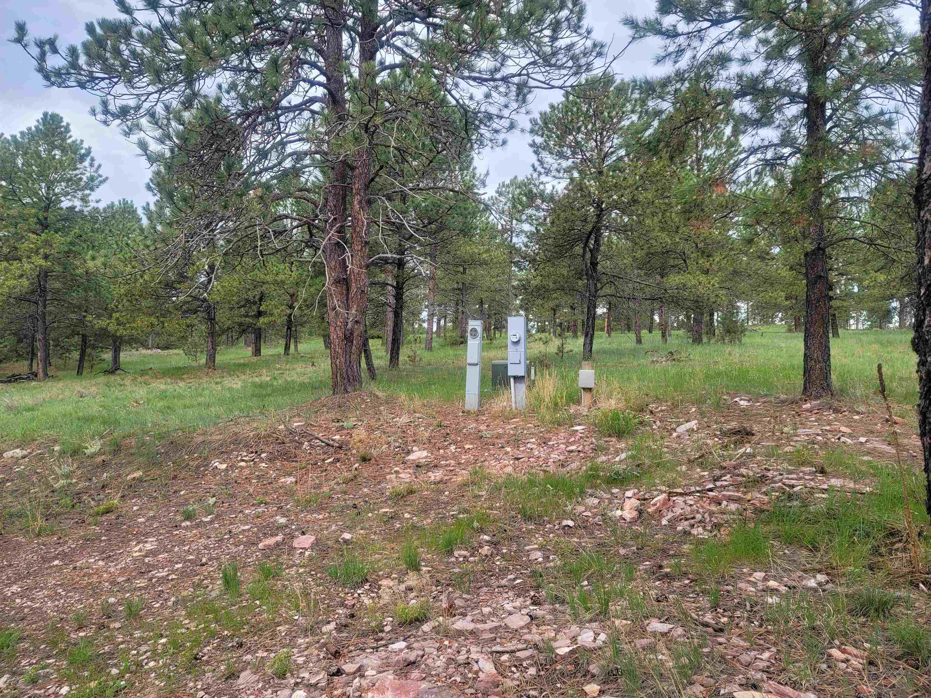24653 Outback Trail Property Photo 36