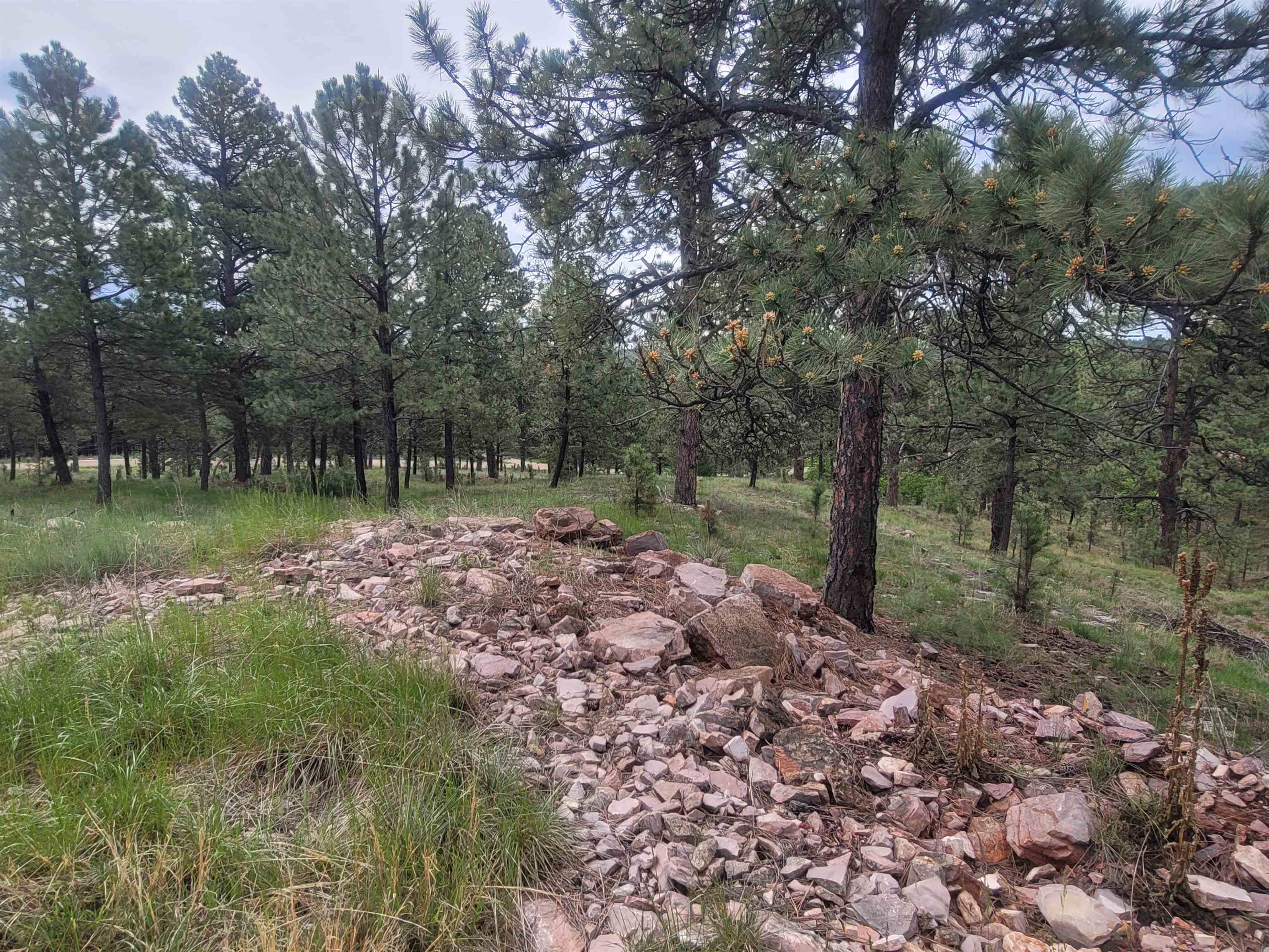 24653 Outback Trail Property Photo 38