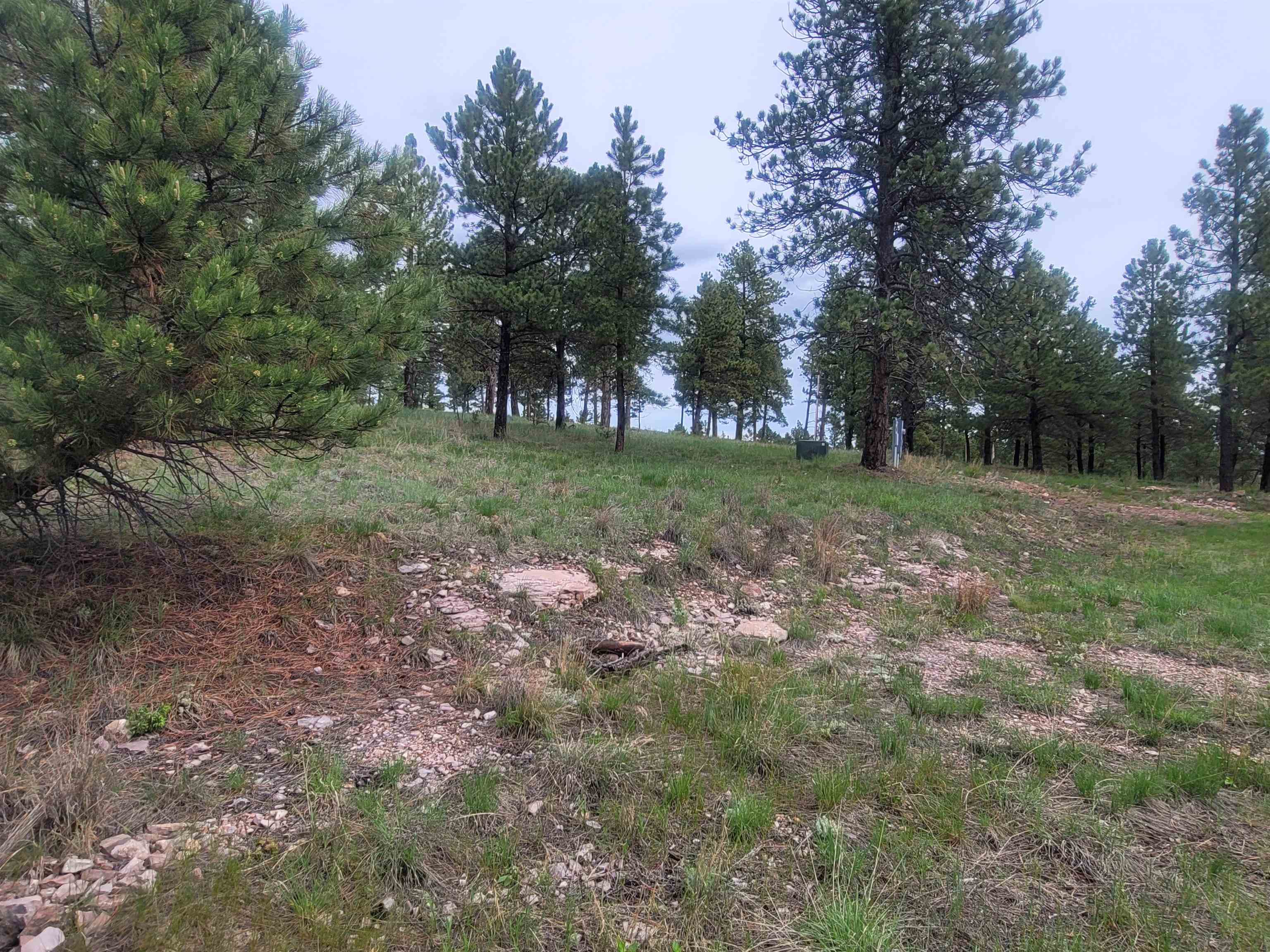 24653 Outback Trail Property Photo 40