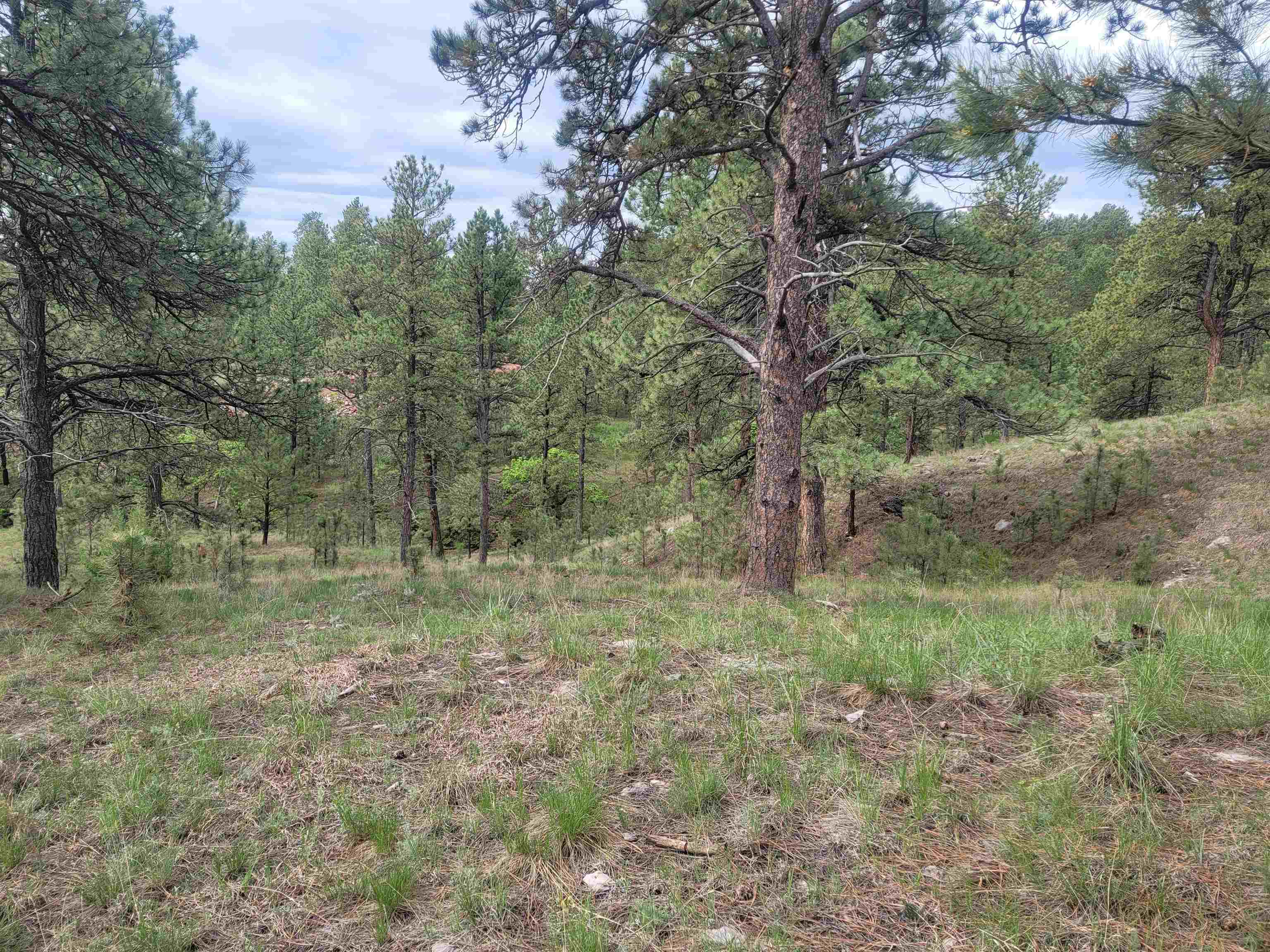 24653 Outback Trail Property Photo 41