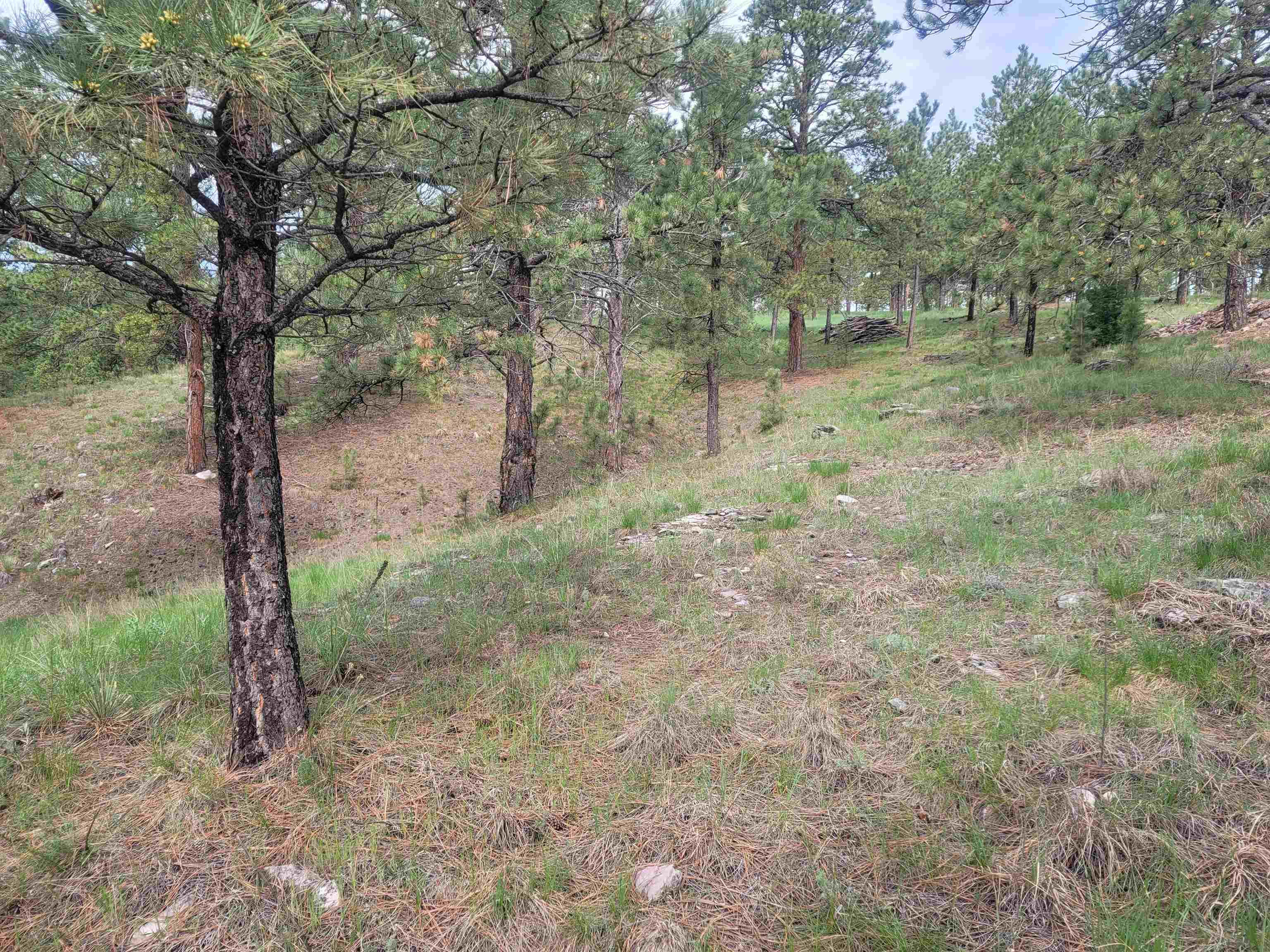 24653 Outback Trail Property Photo 42