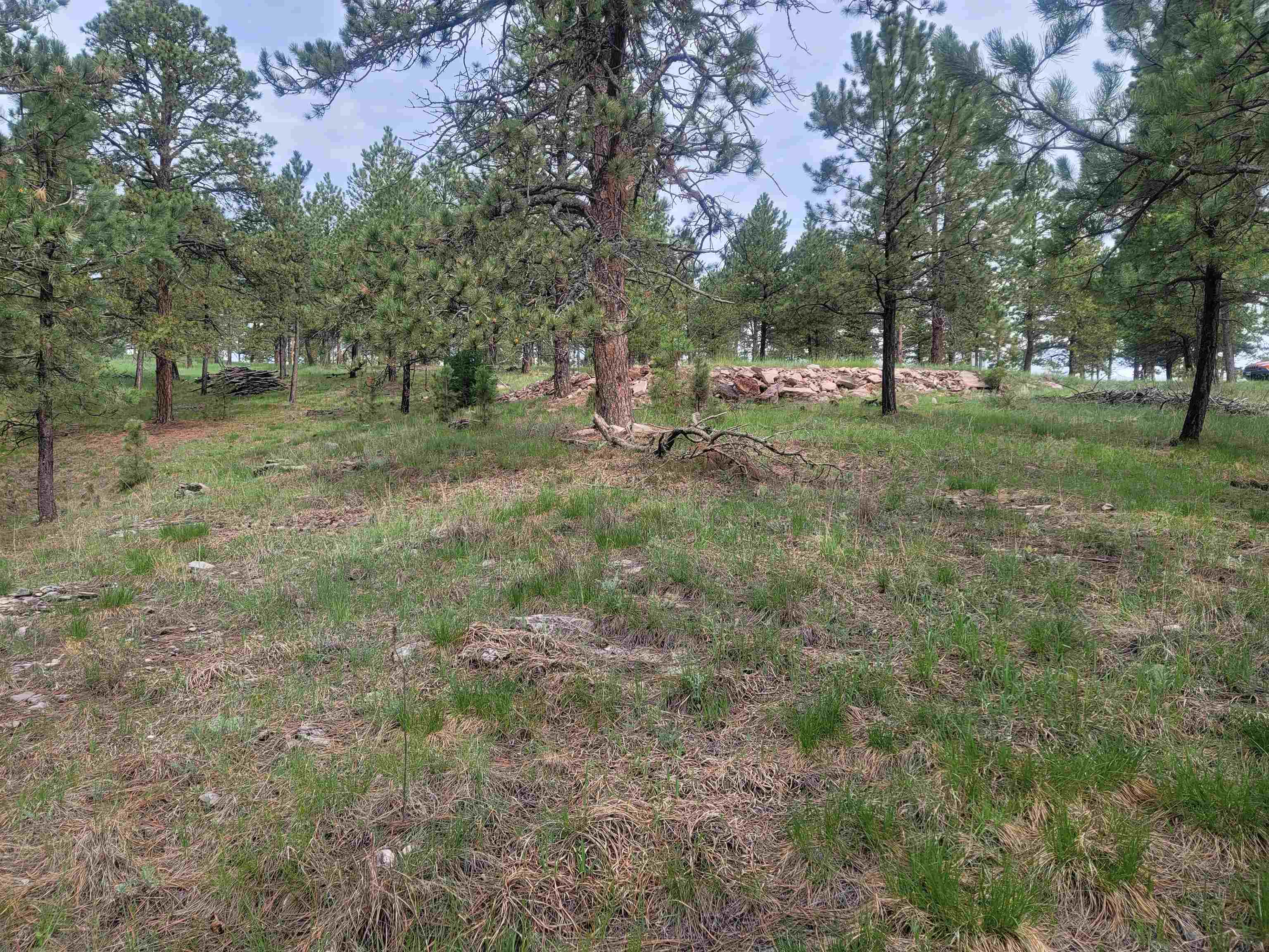 24653 Outback Trail Property Photo 43